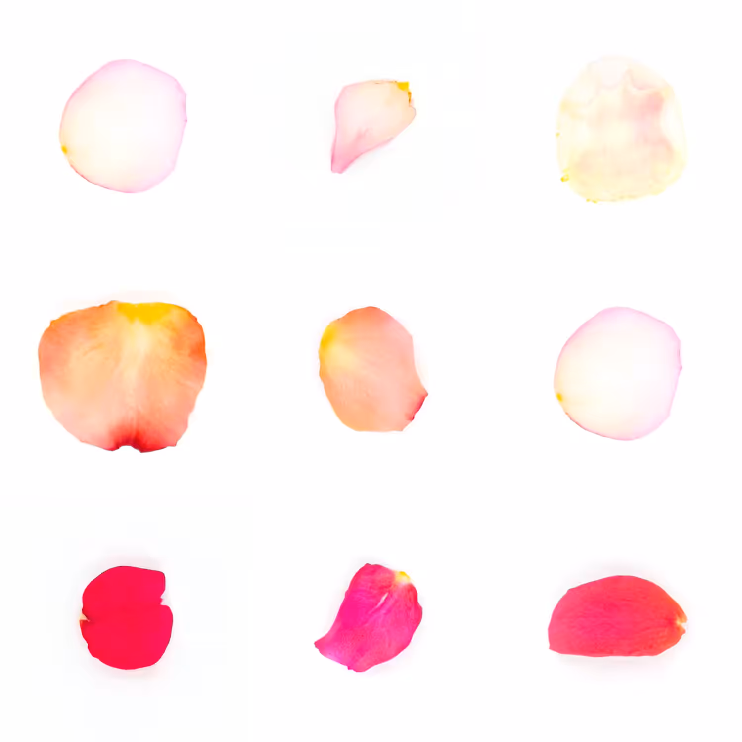 Infinite Petals 3x3#20047