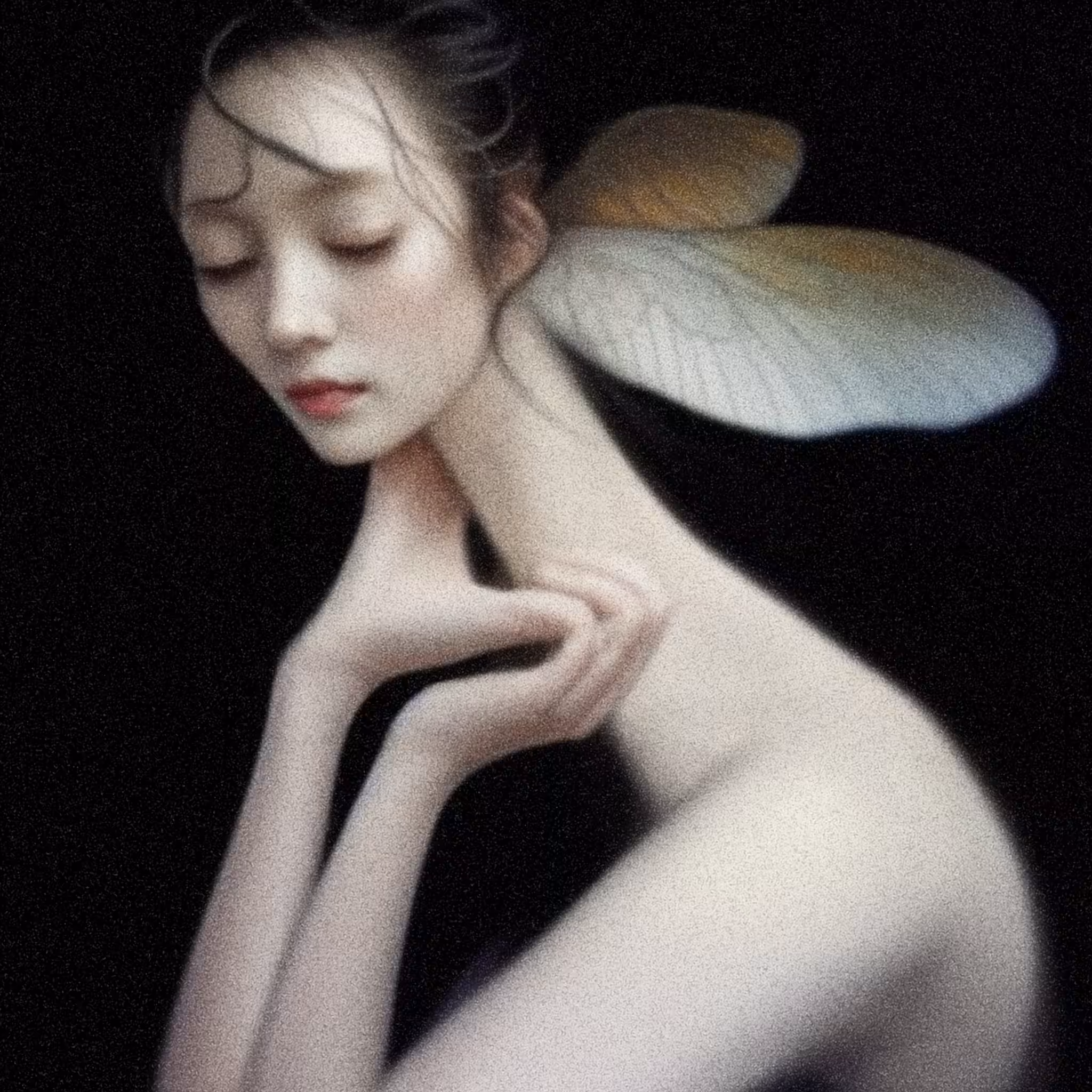 Moth