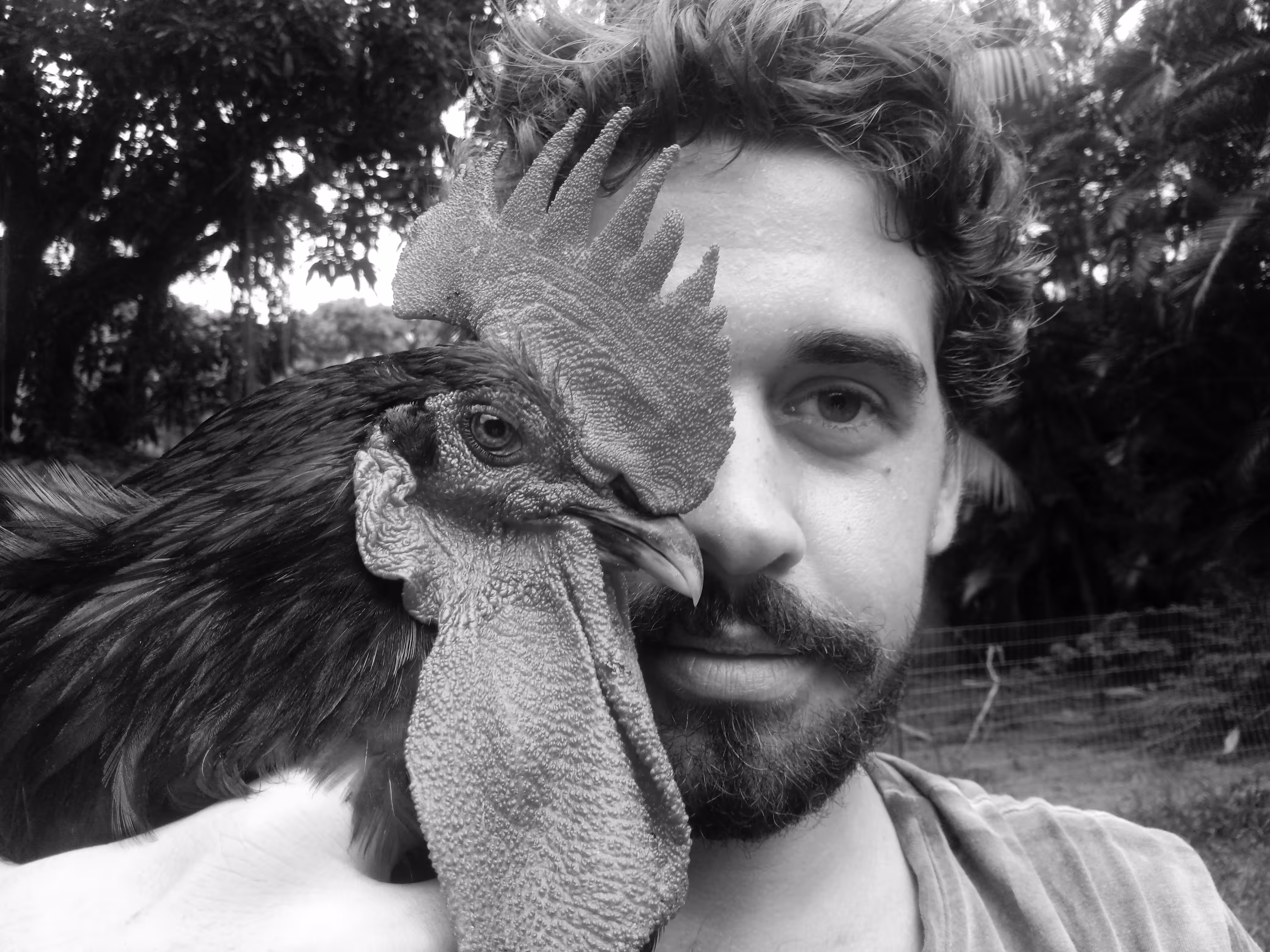 Galo e eu