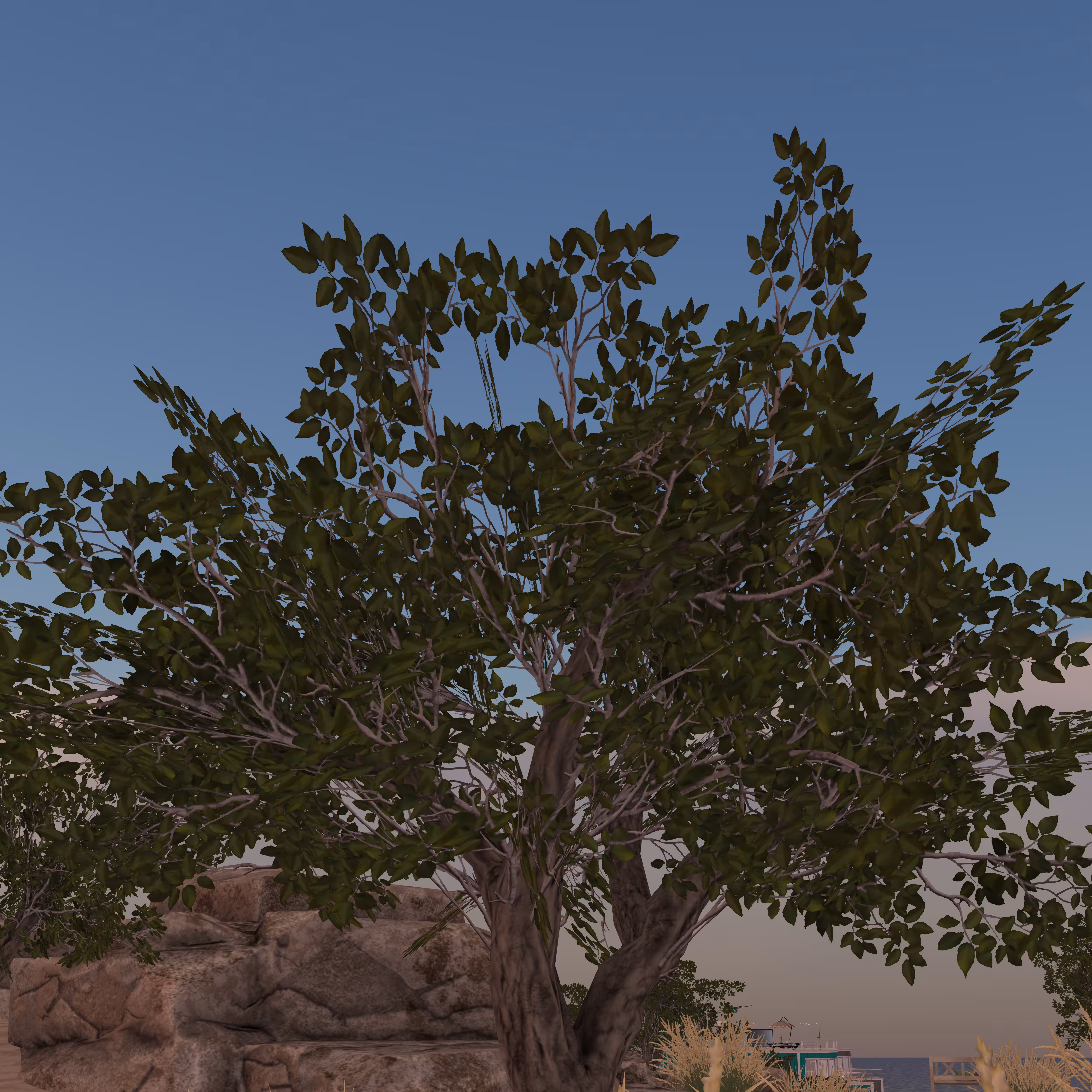 Beautiful Scenery in the after life
