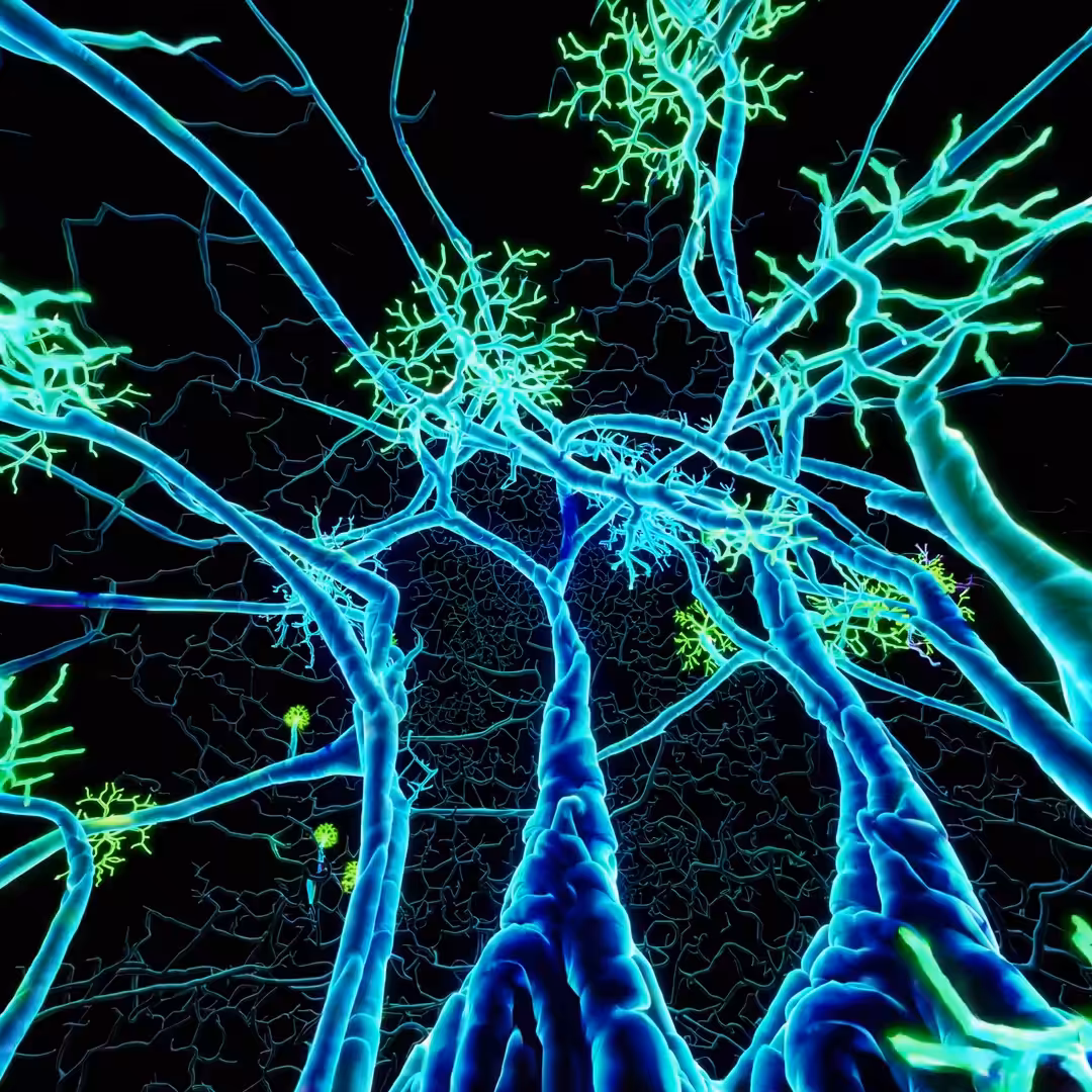 Neon Forest Mystique