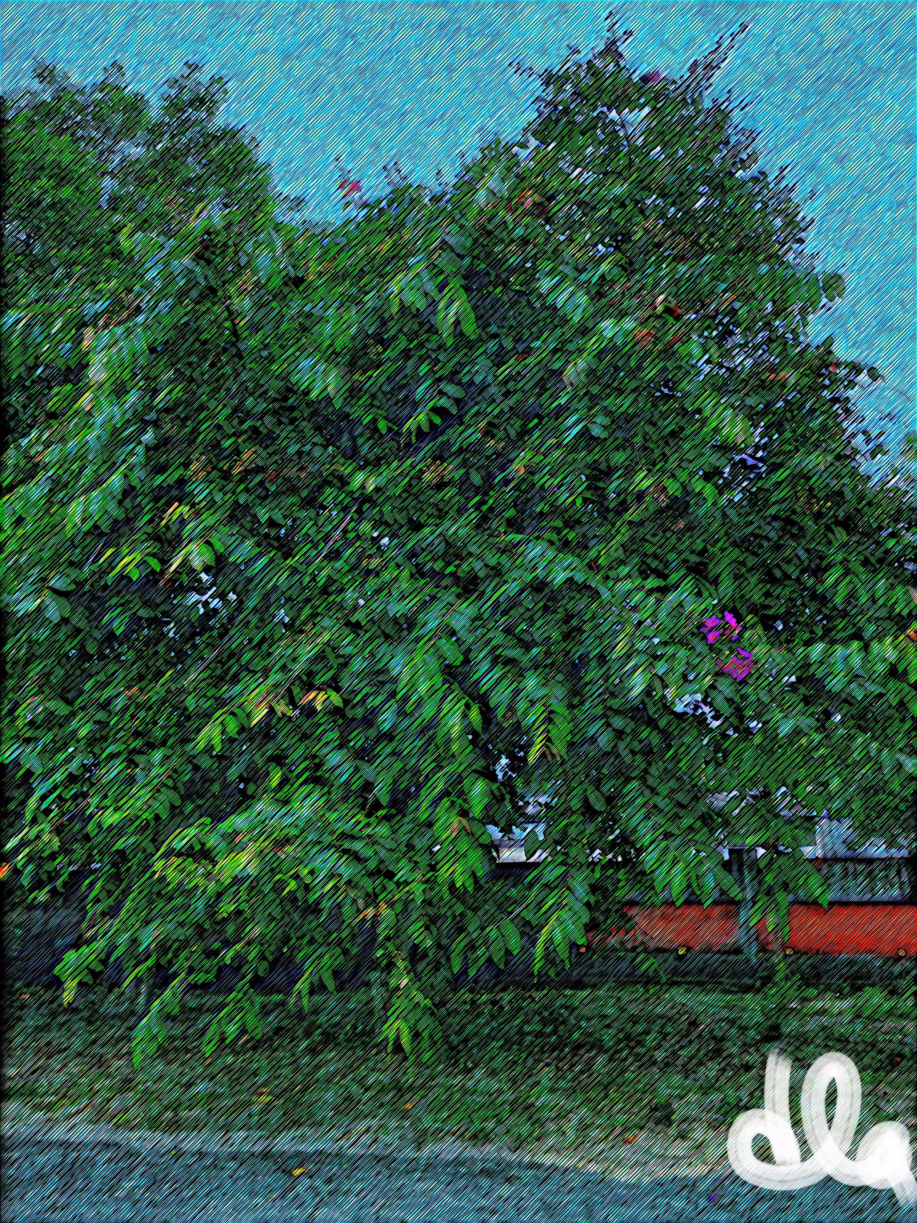 Spreading Tree