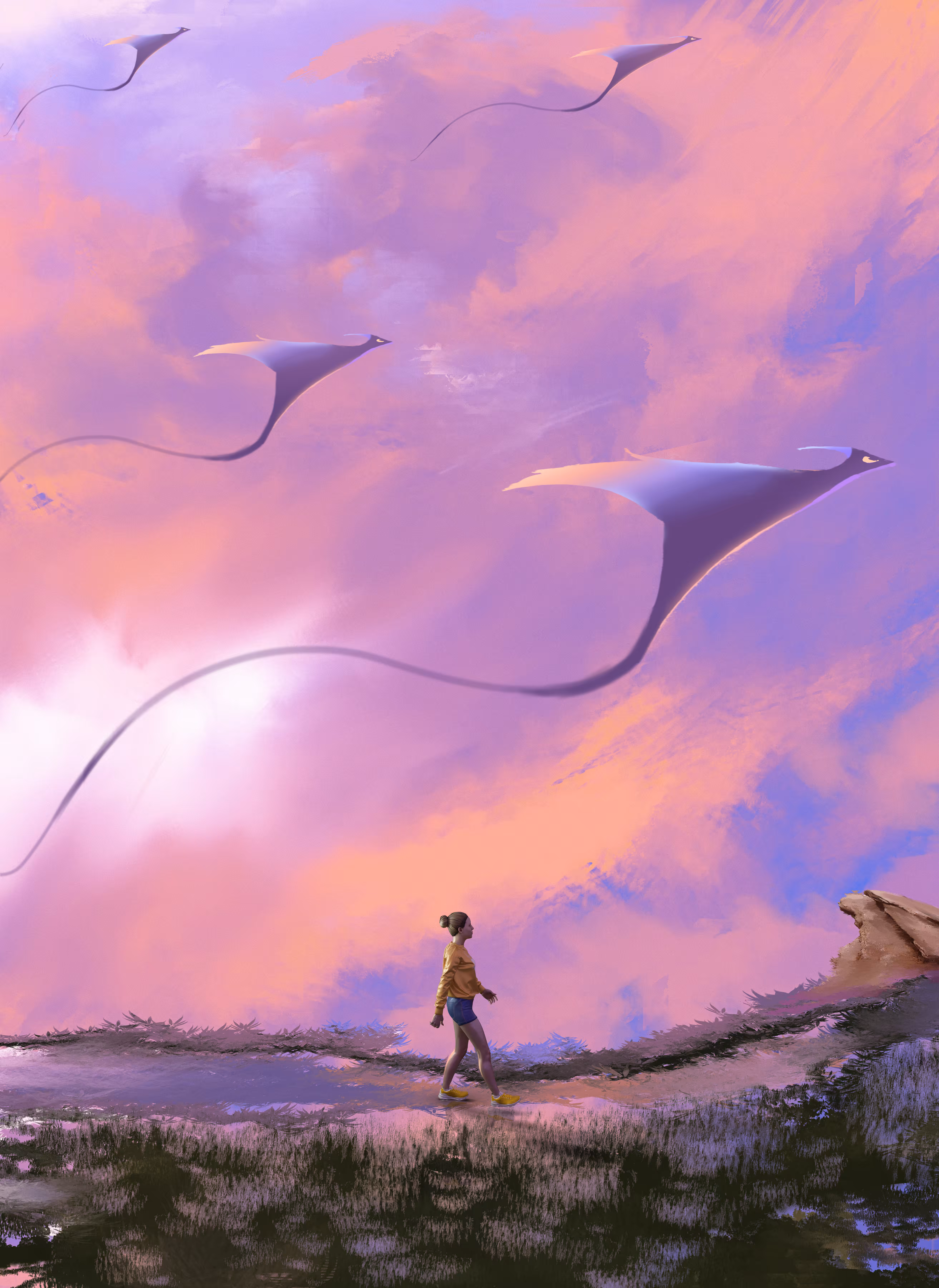 Explorer
