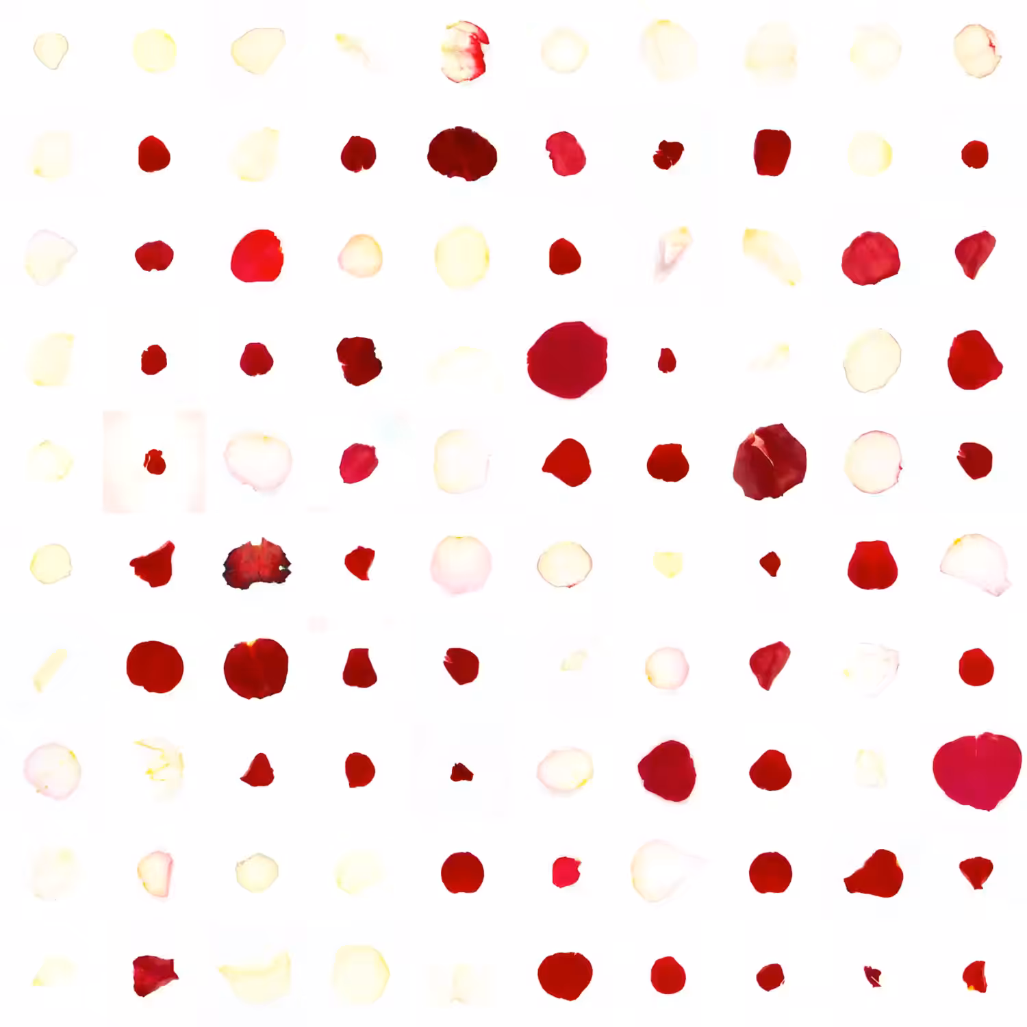 Infinite Petals 10x10#10123