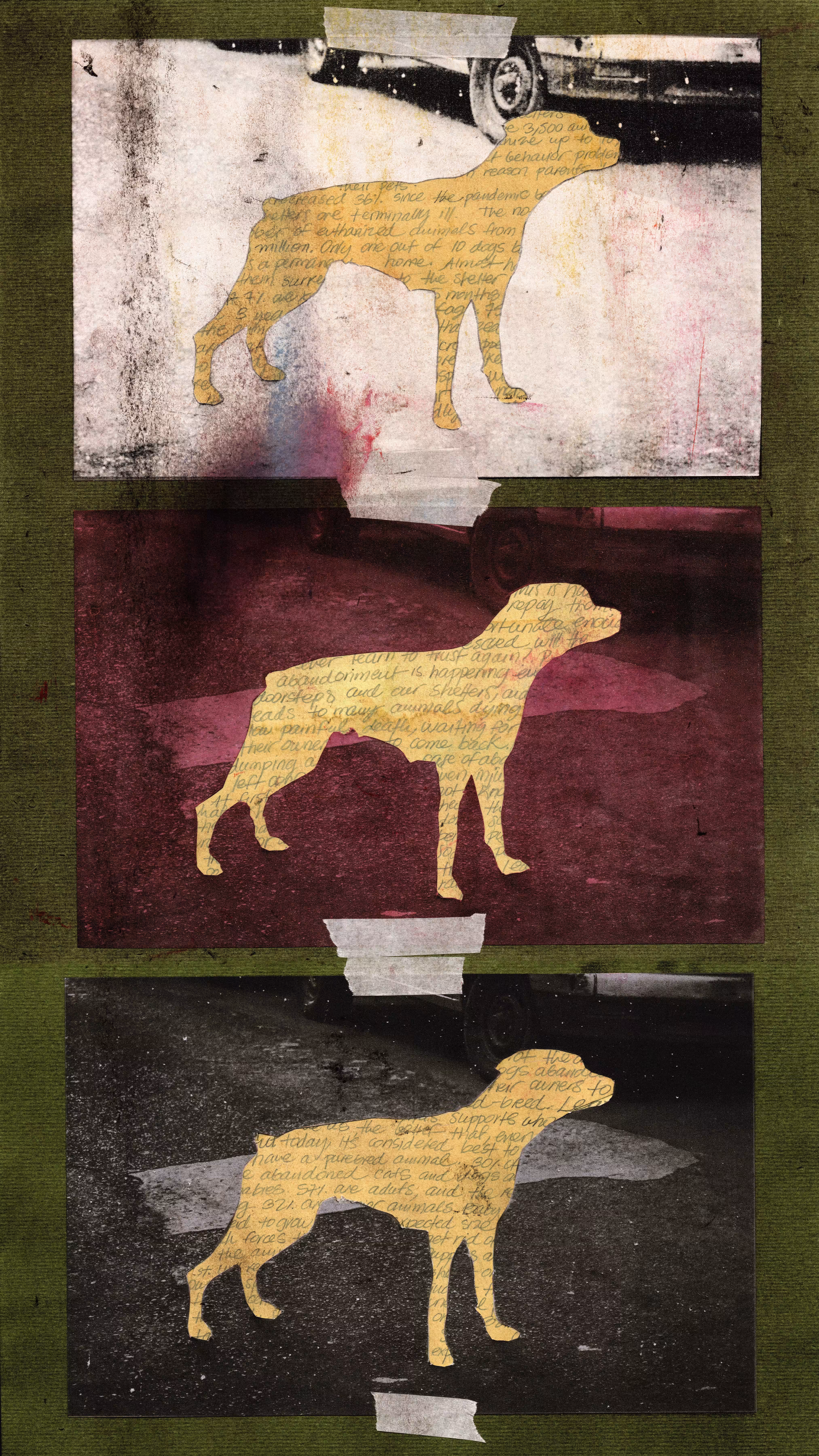 valeria aguirova ~ where the hell is the dog?