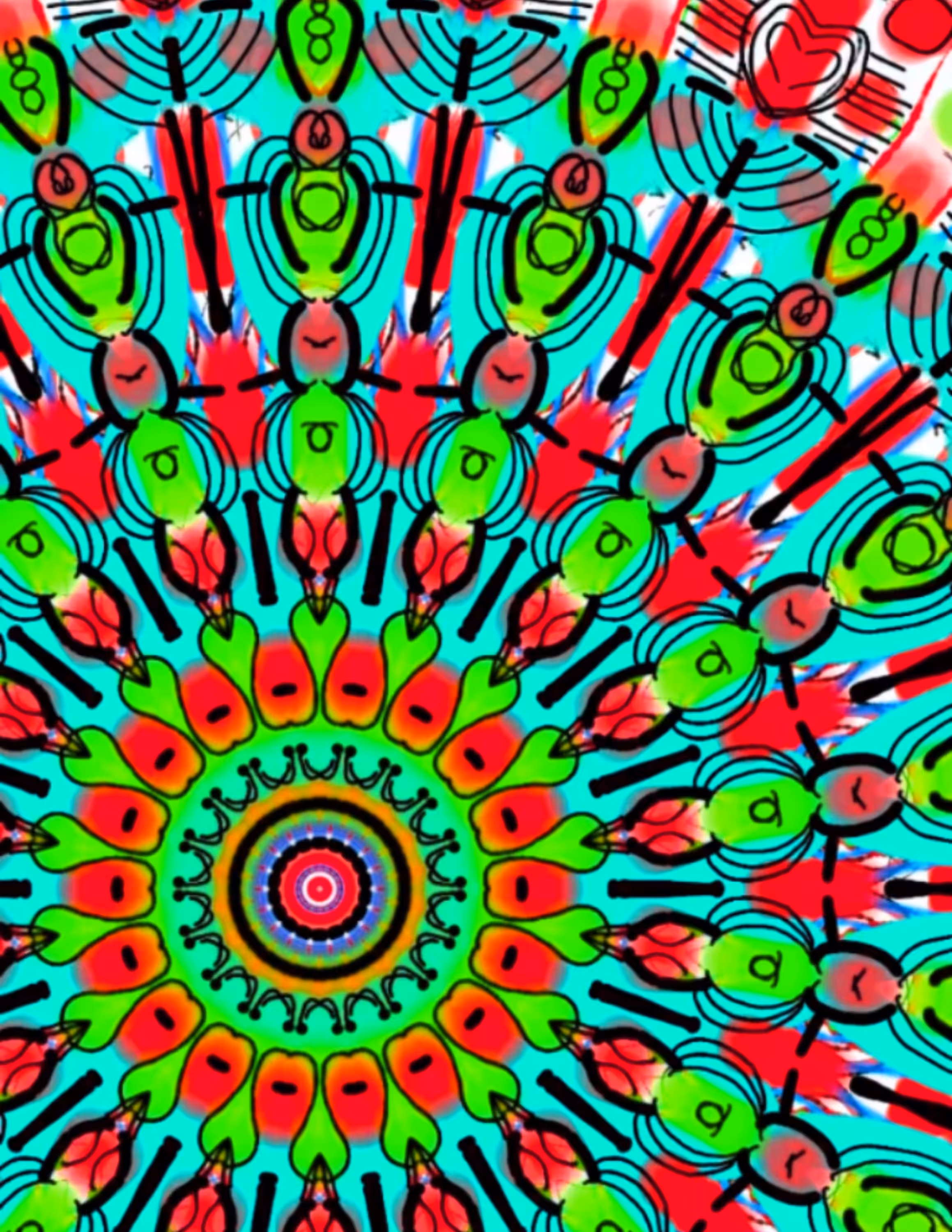 Parakeety 