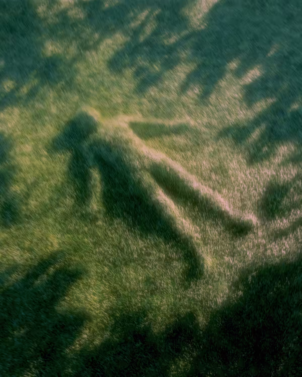 Touch Grass