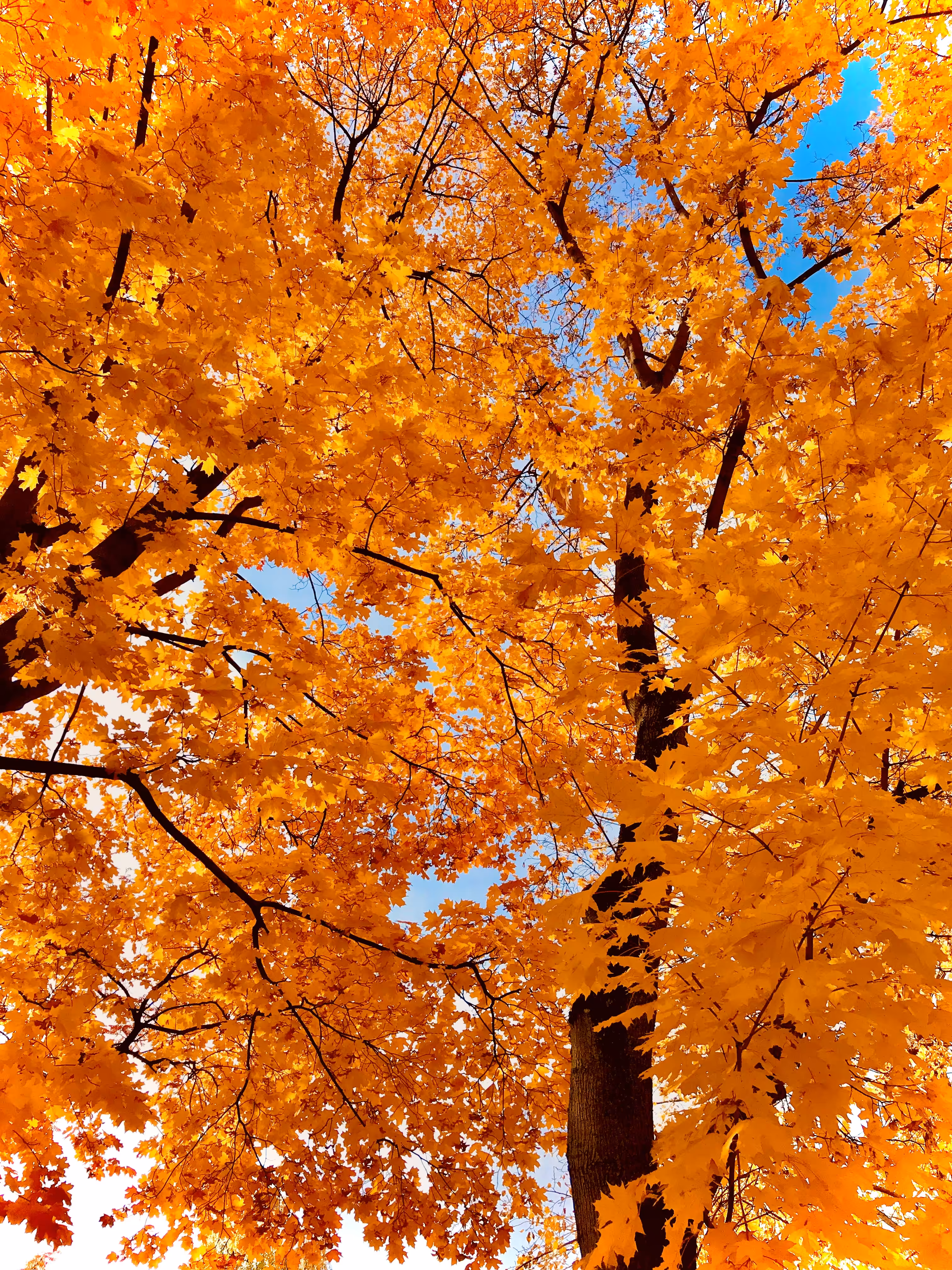 October 