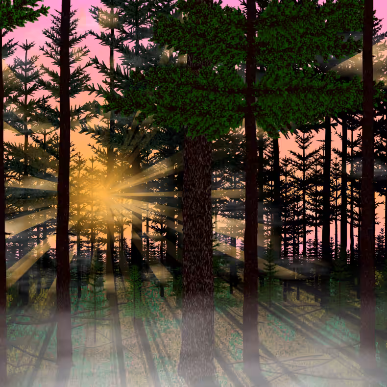 Forest Sunrise #33