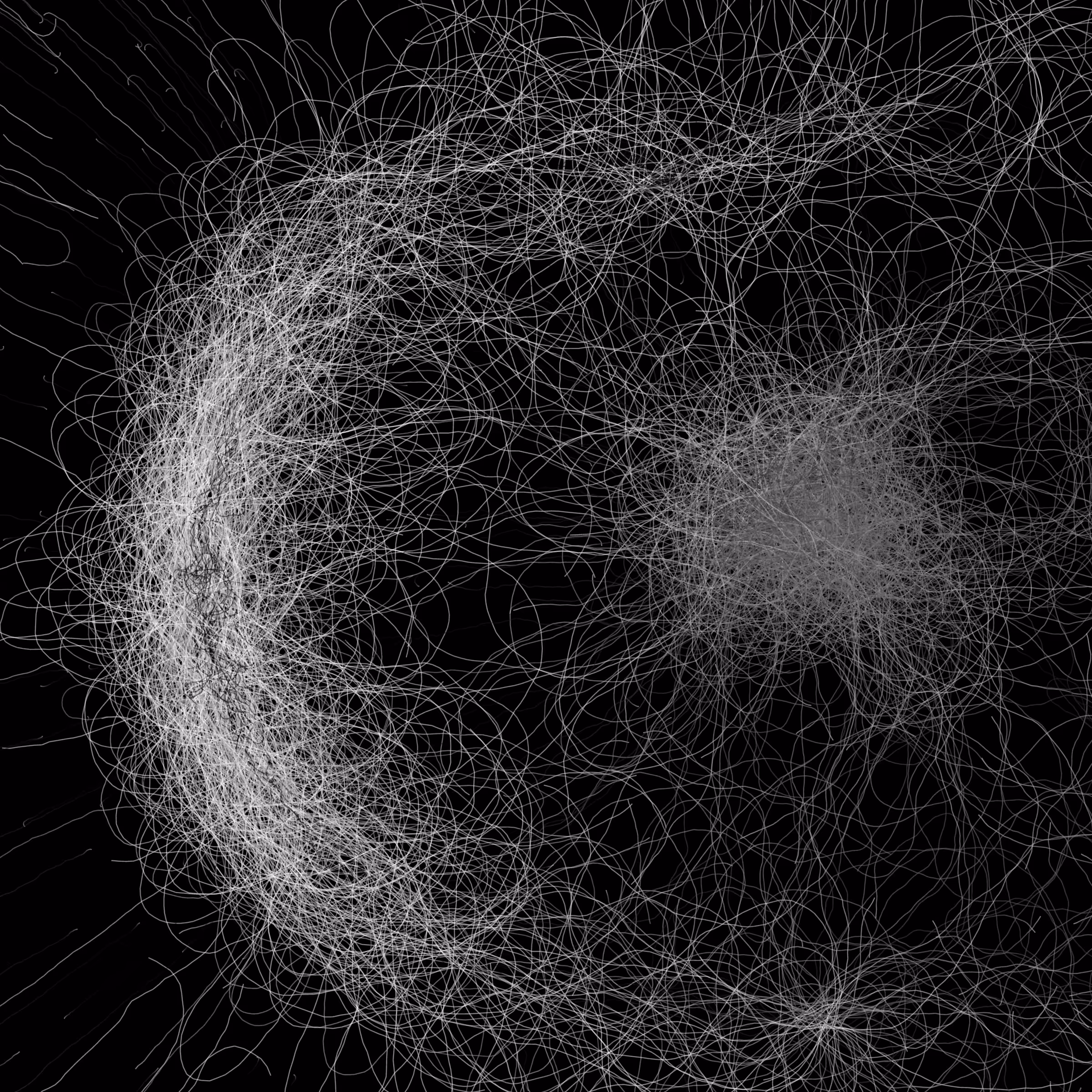 Phototaxis #957