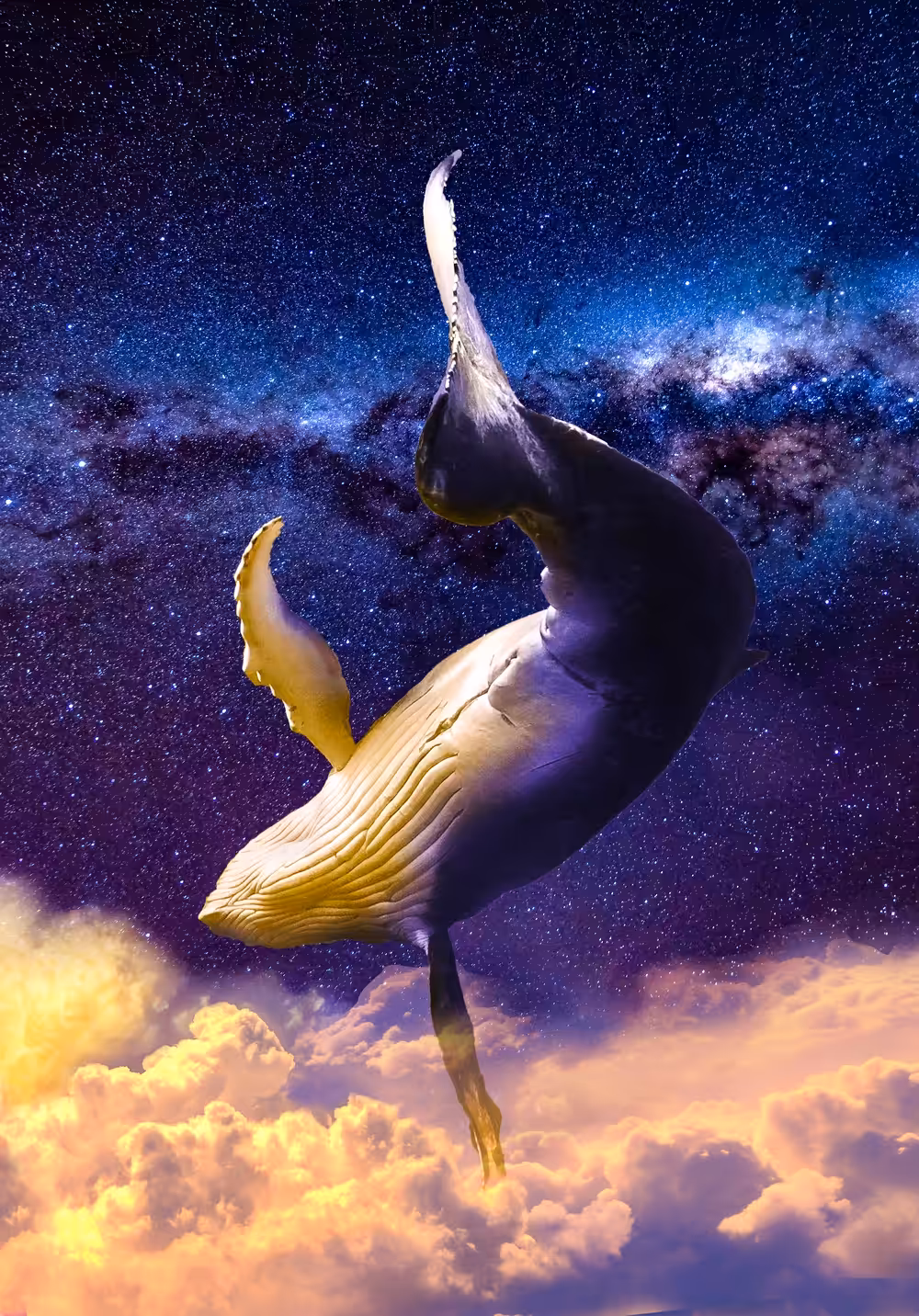 Night Flight
