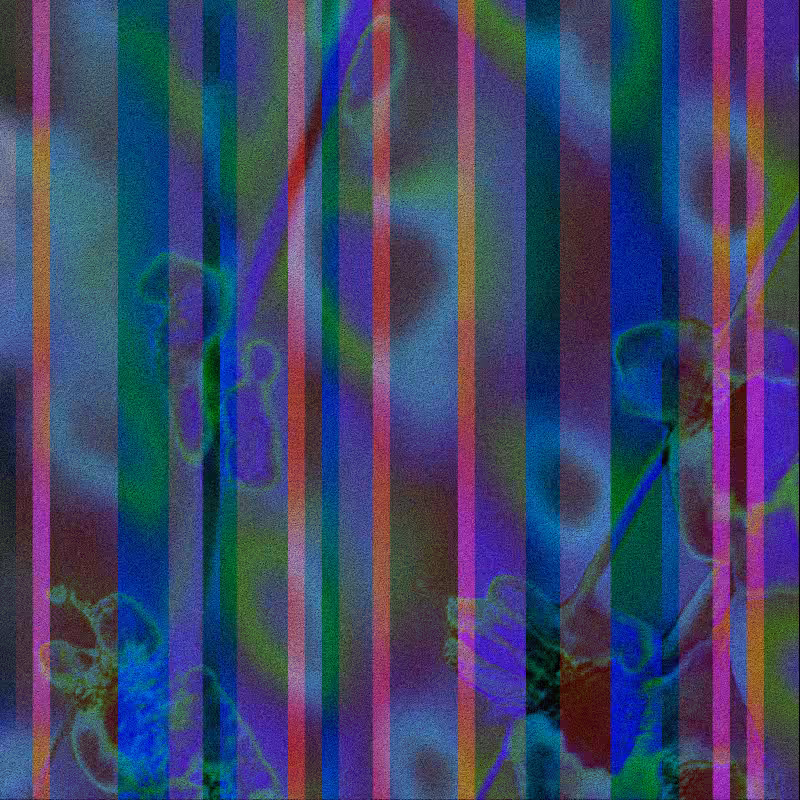 CLDCSMC #178