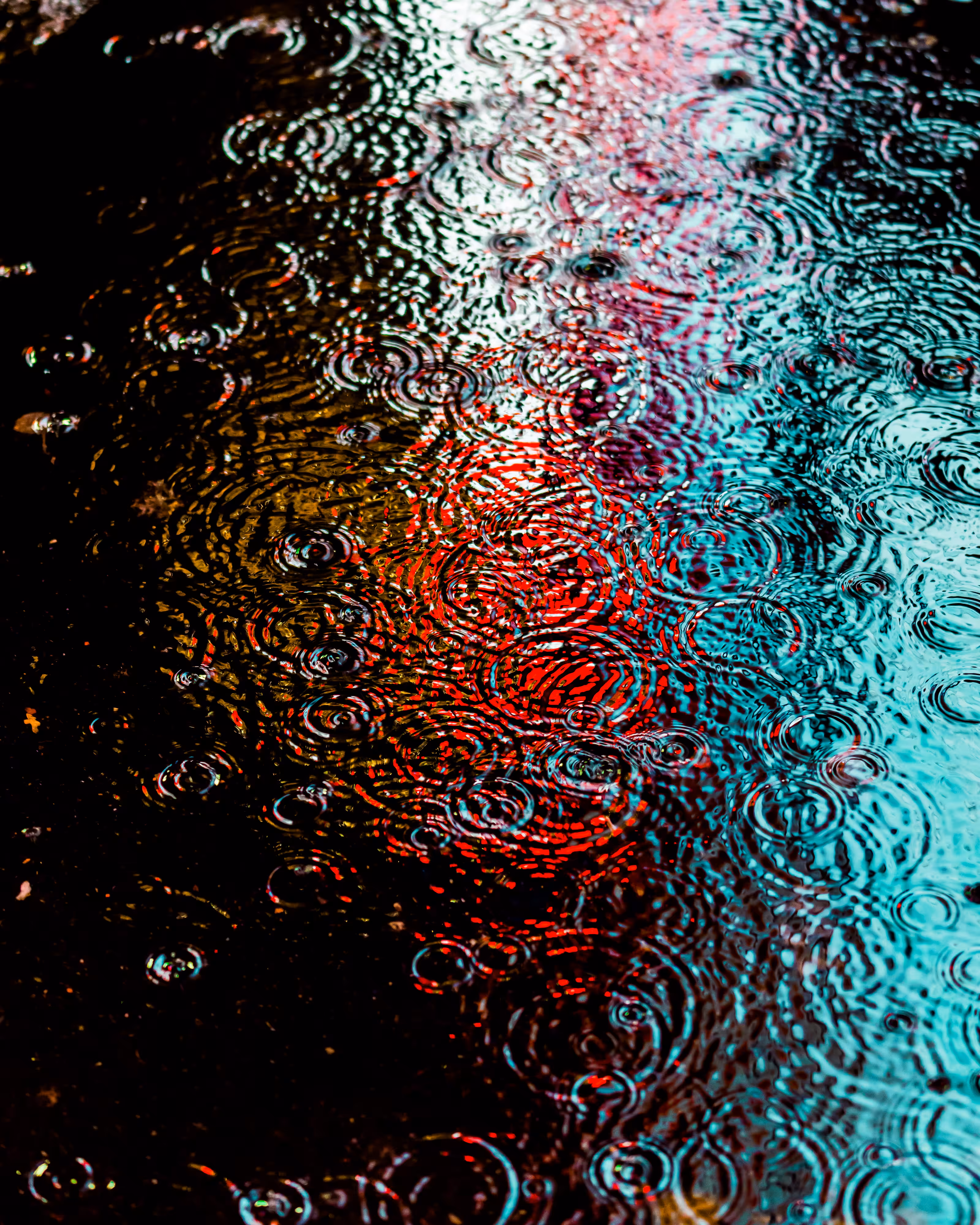 DRIP #686