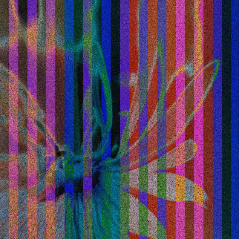 CLDCSMC #37