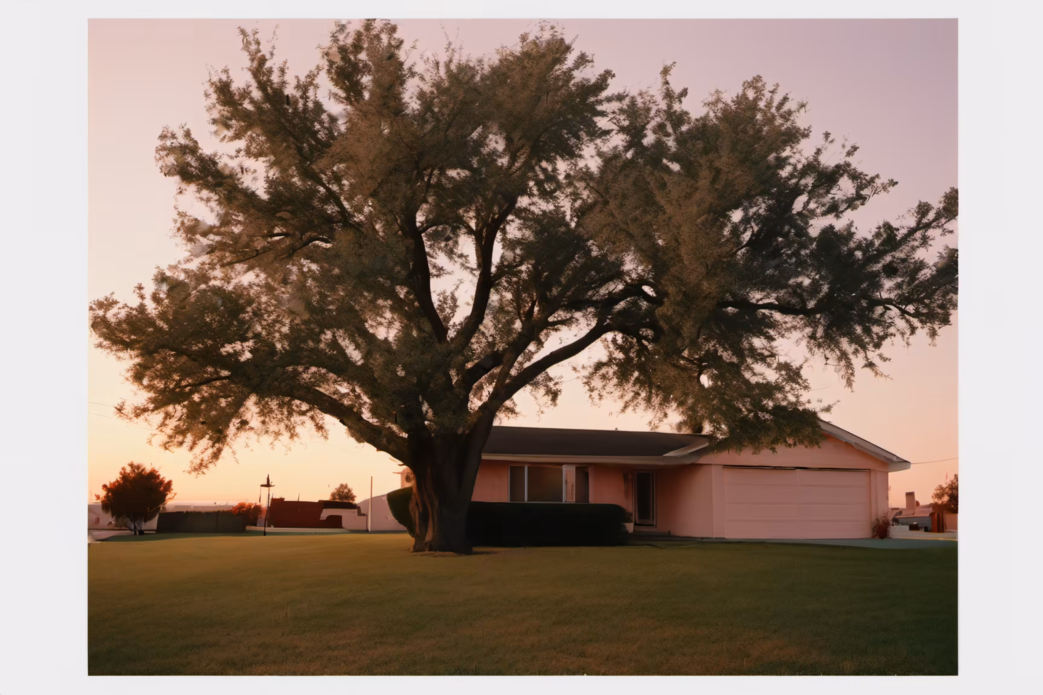 Lonely Landscapes #71