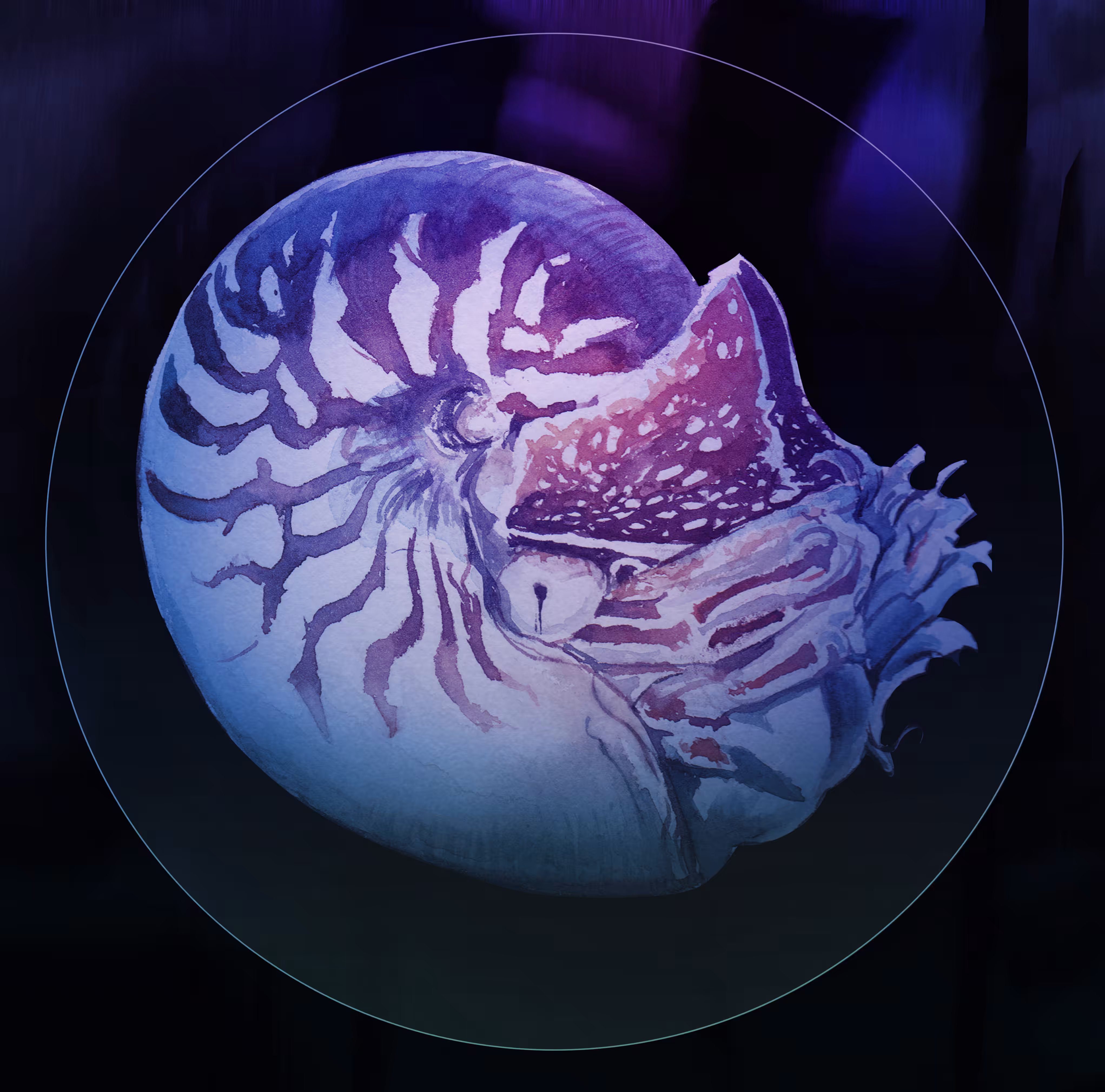 Creature 001: Nautilus 