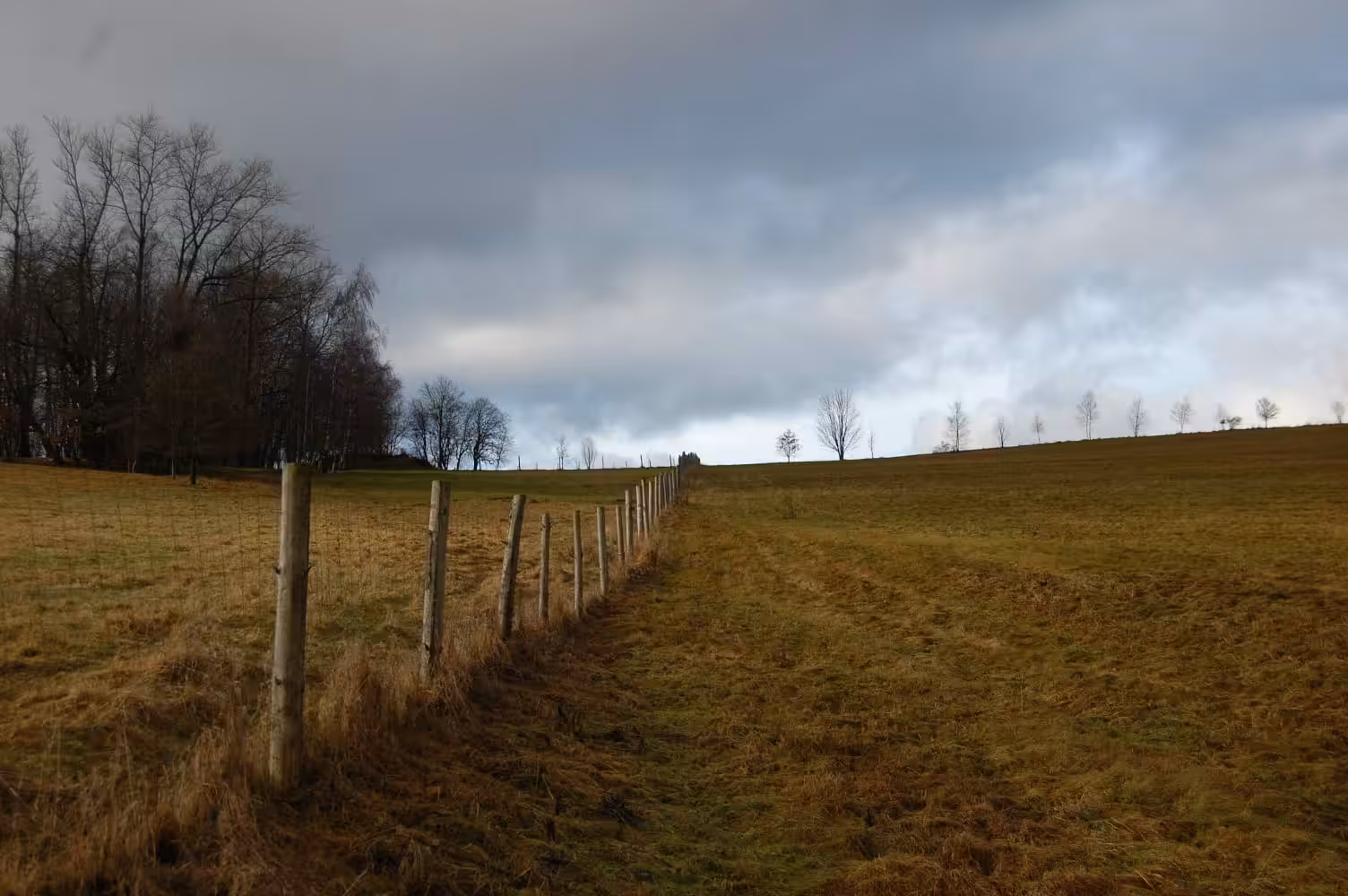Natur3