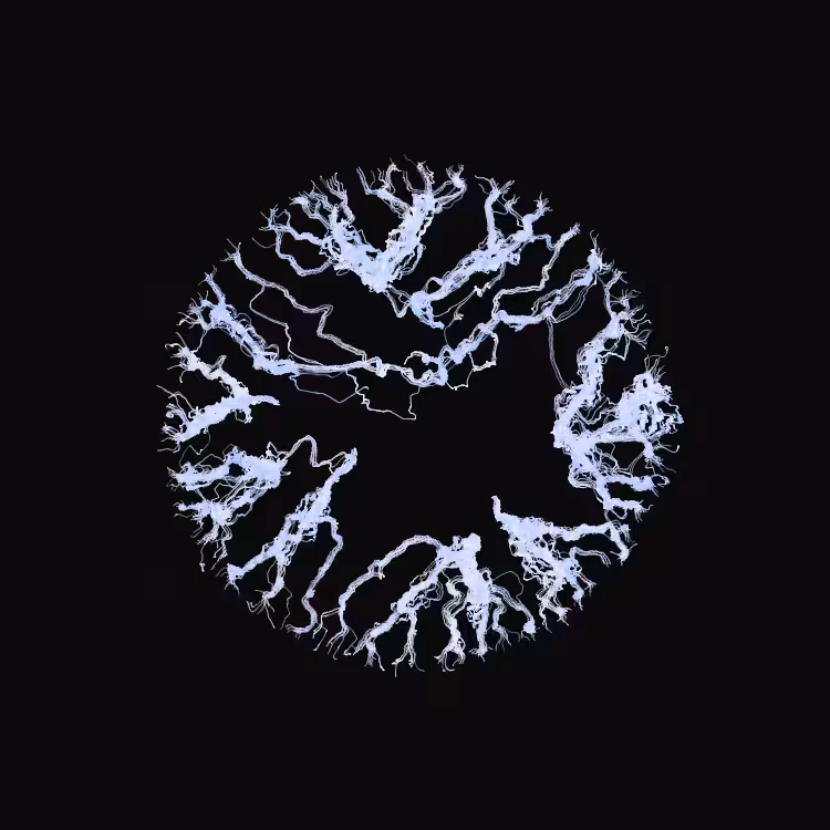 Ginseng #60