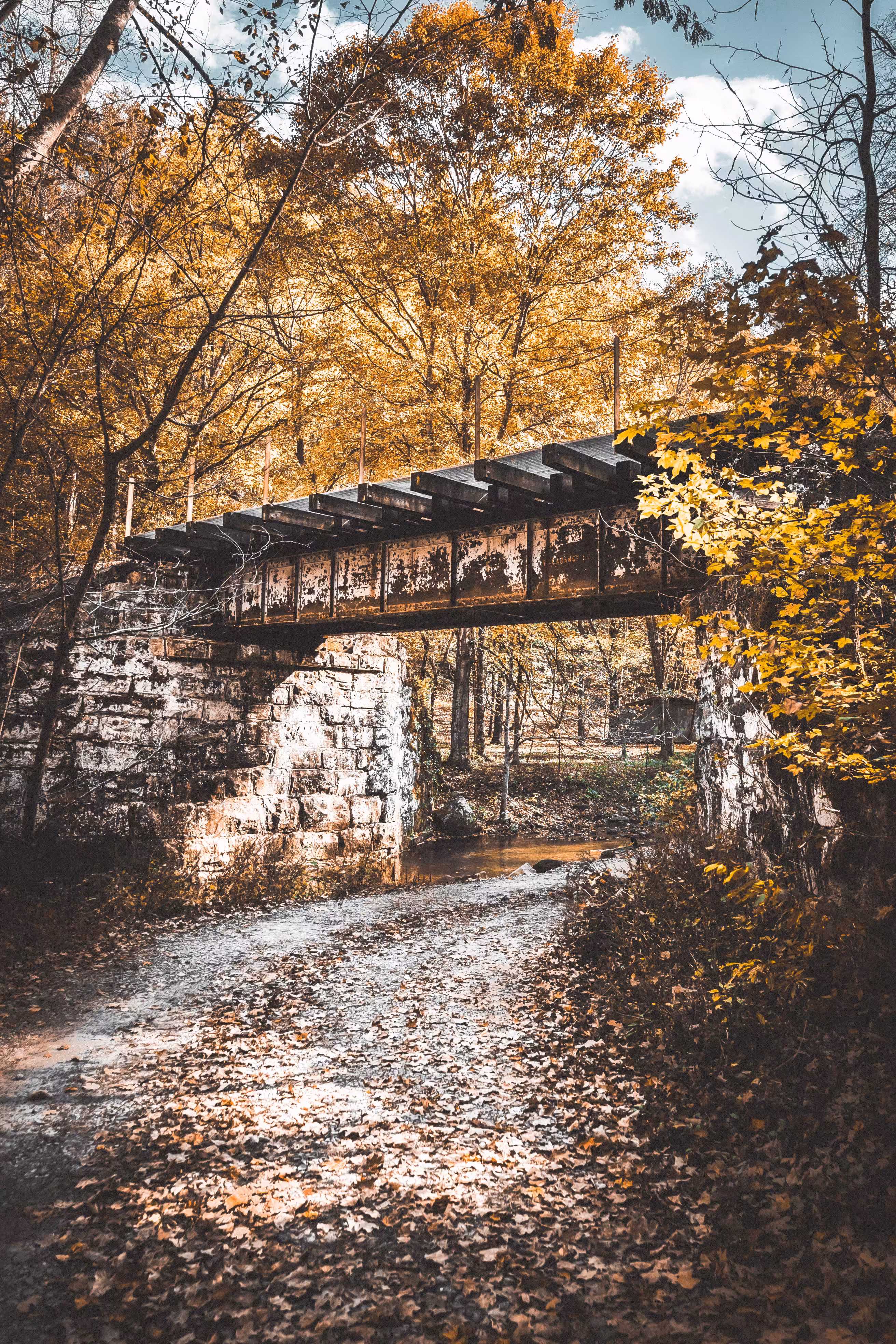 LONELY ROAD