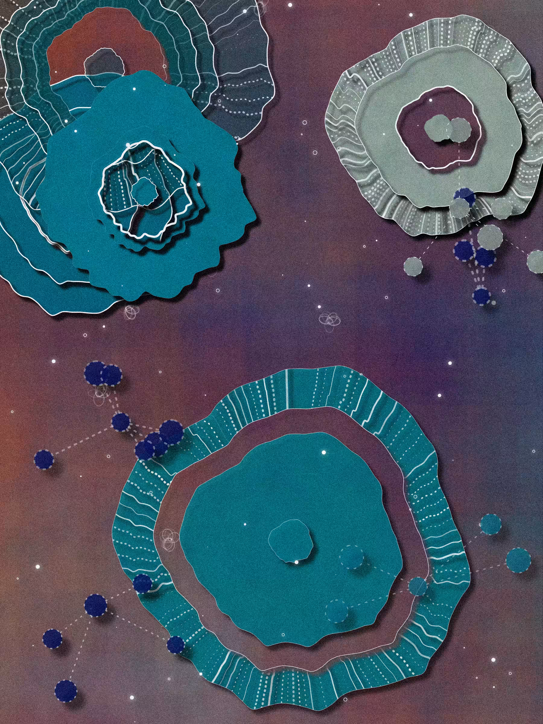 Coral #44