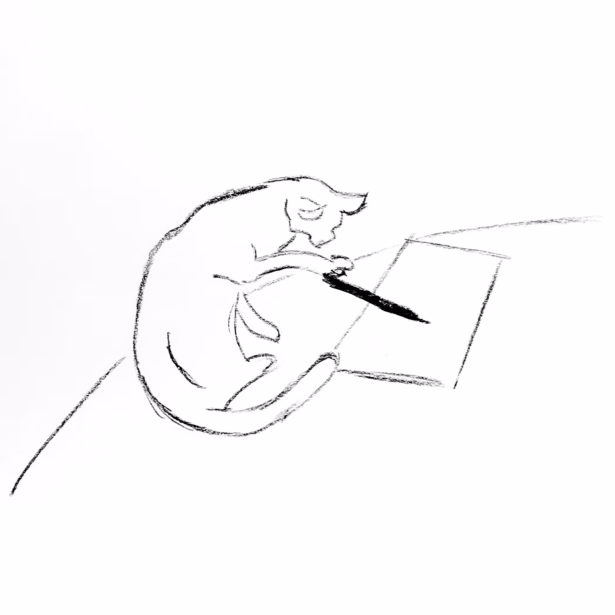 un gato practicando caligrafía