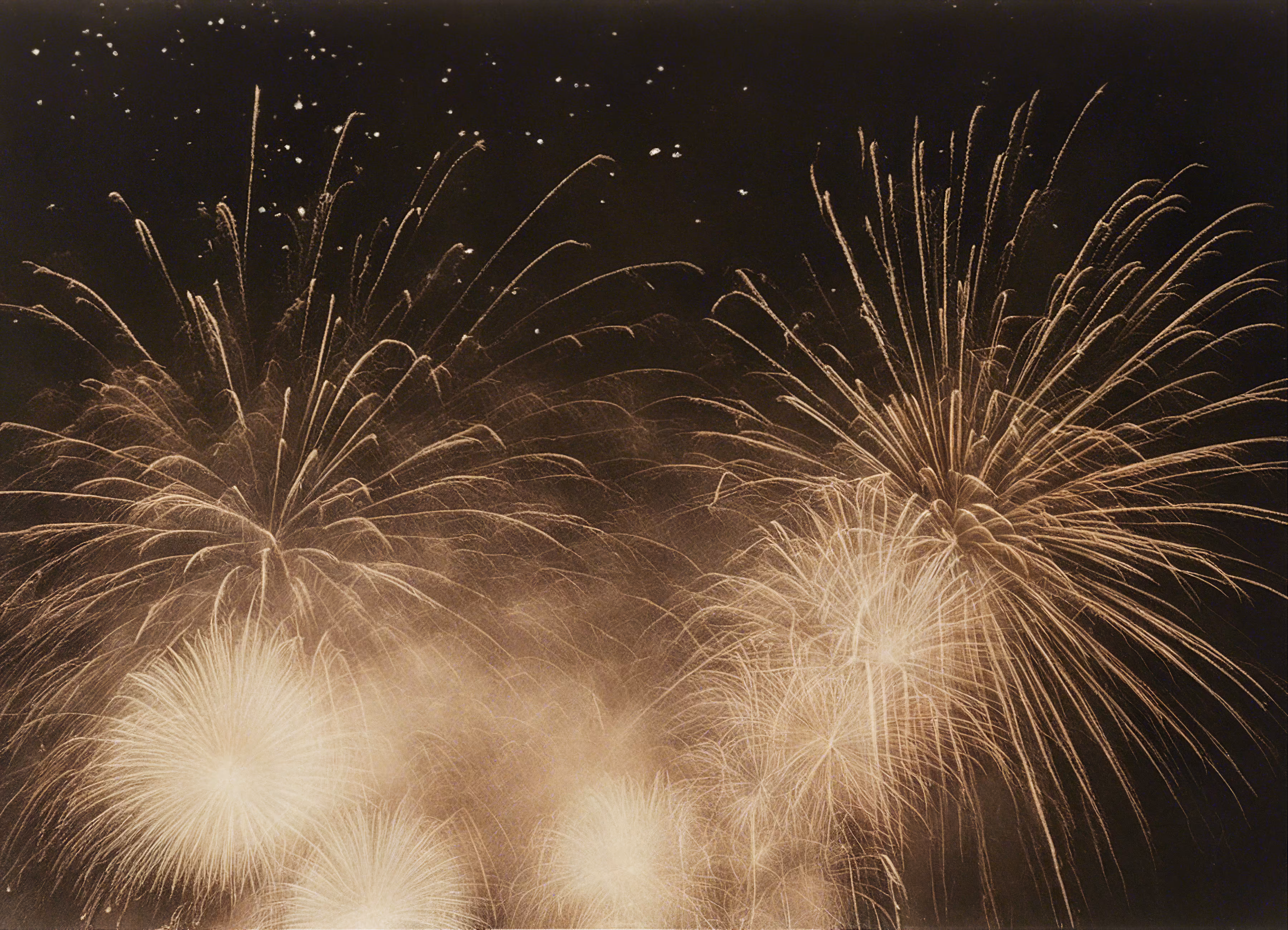 New Year 2023/2024