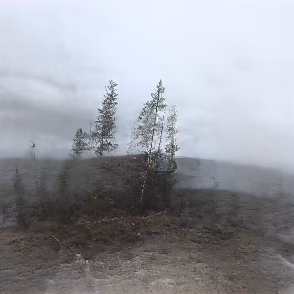 Fabricating Future Forests 0048