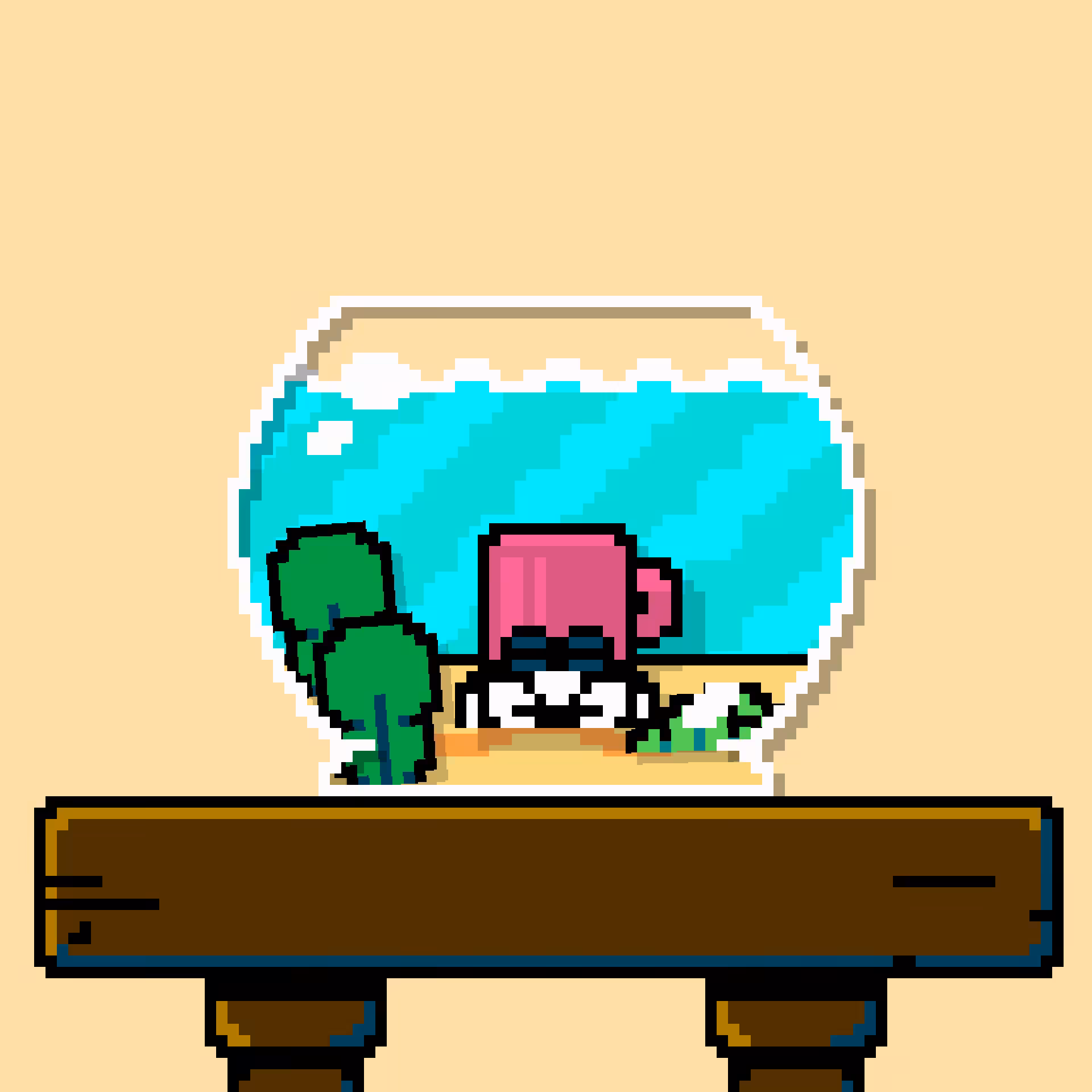 hermit crab #157