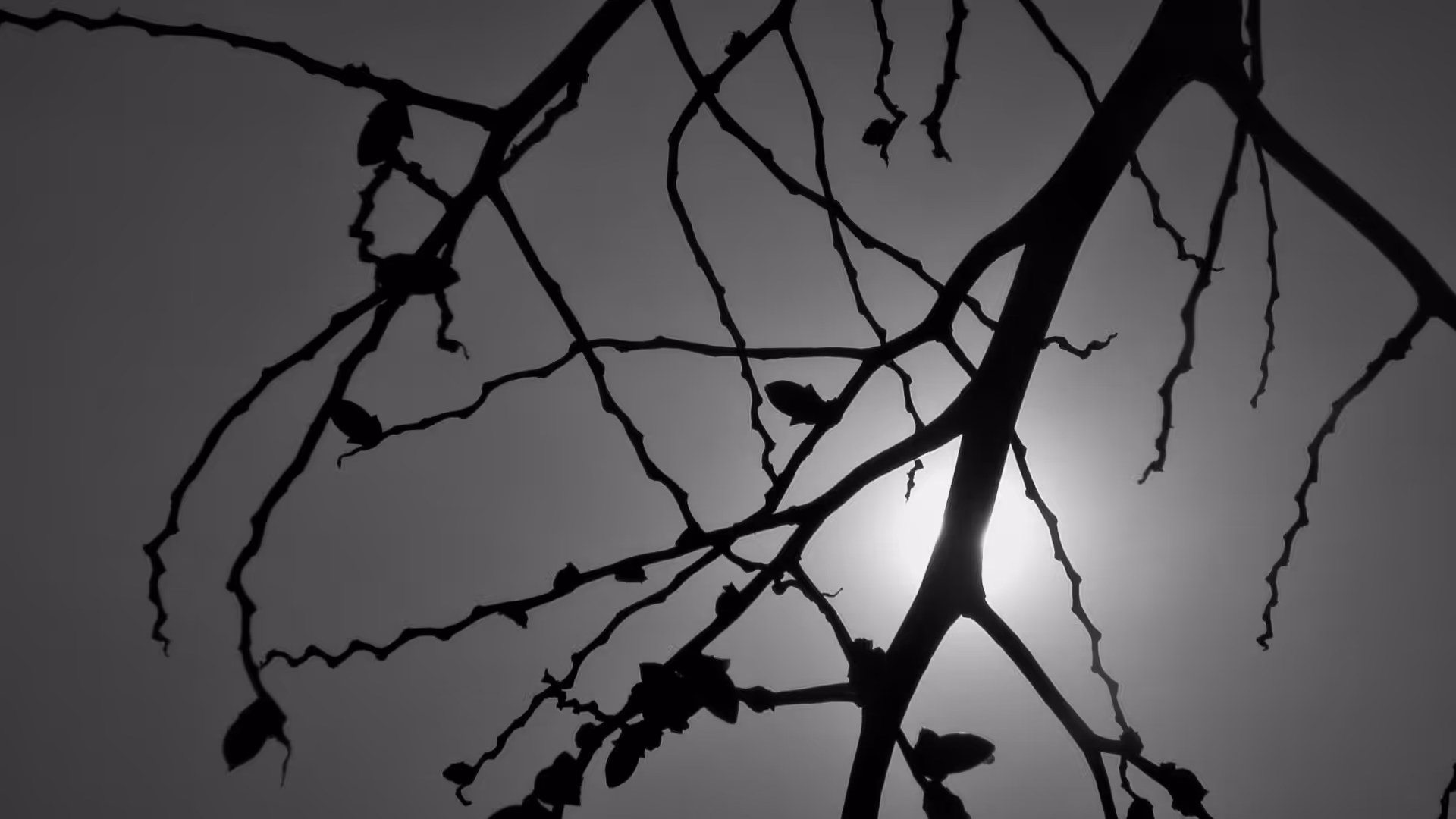 Obscuring