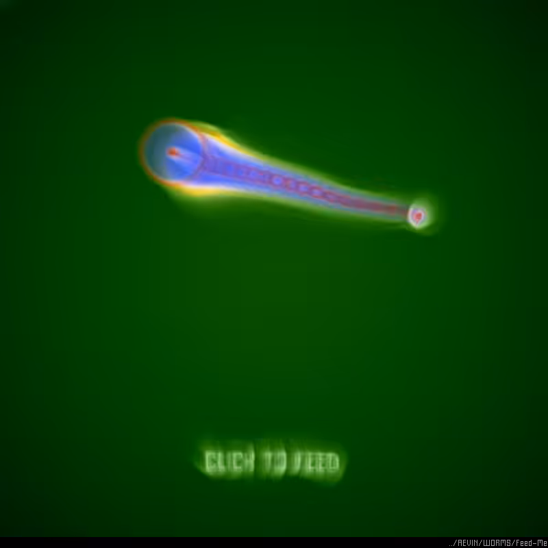 WORMS / Feed Me #11