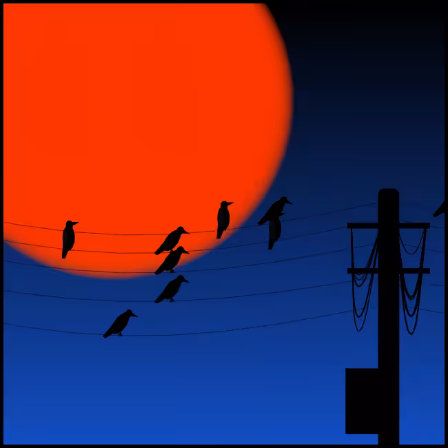 Crows #14