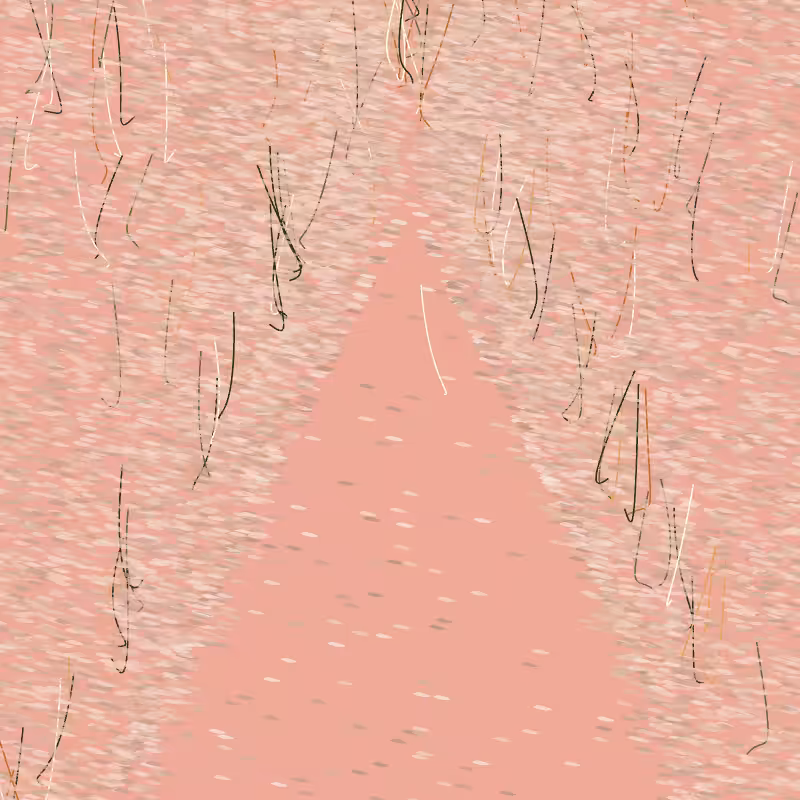 Forest path #7