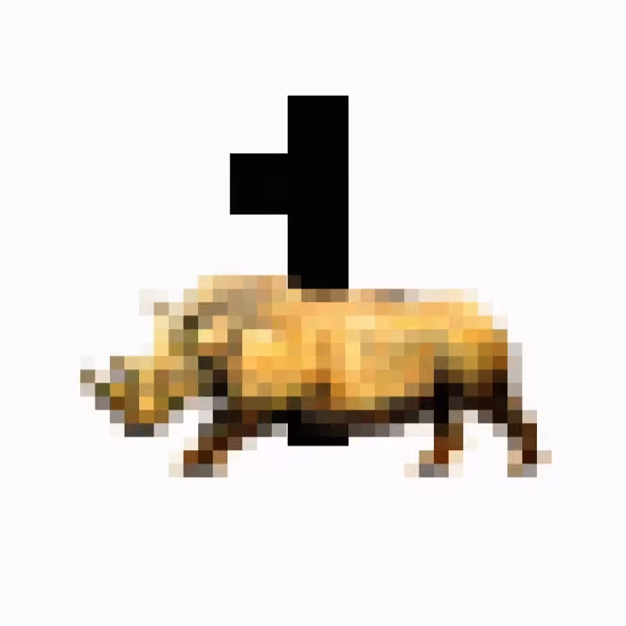 Digitalized Rhino