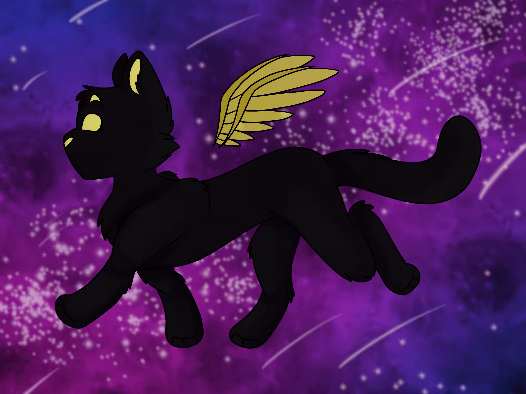 09 - Silhouette