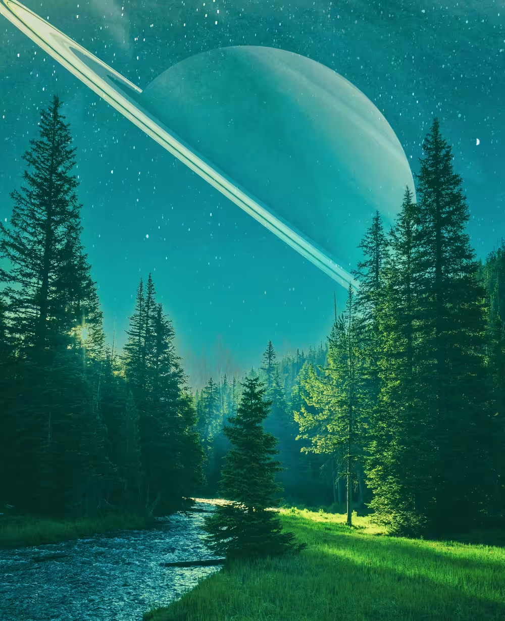 Float, 2021