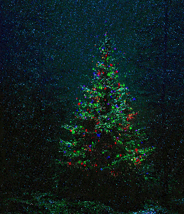 Last Christmas: Lignum Memoriae