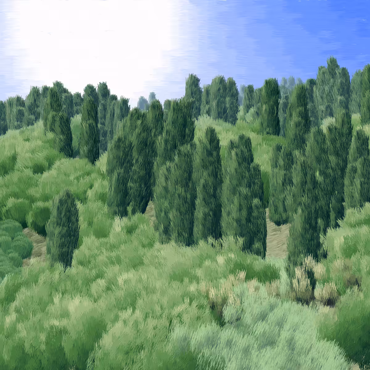 Provence #242