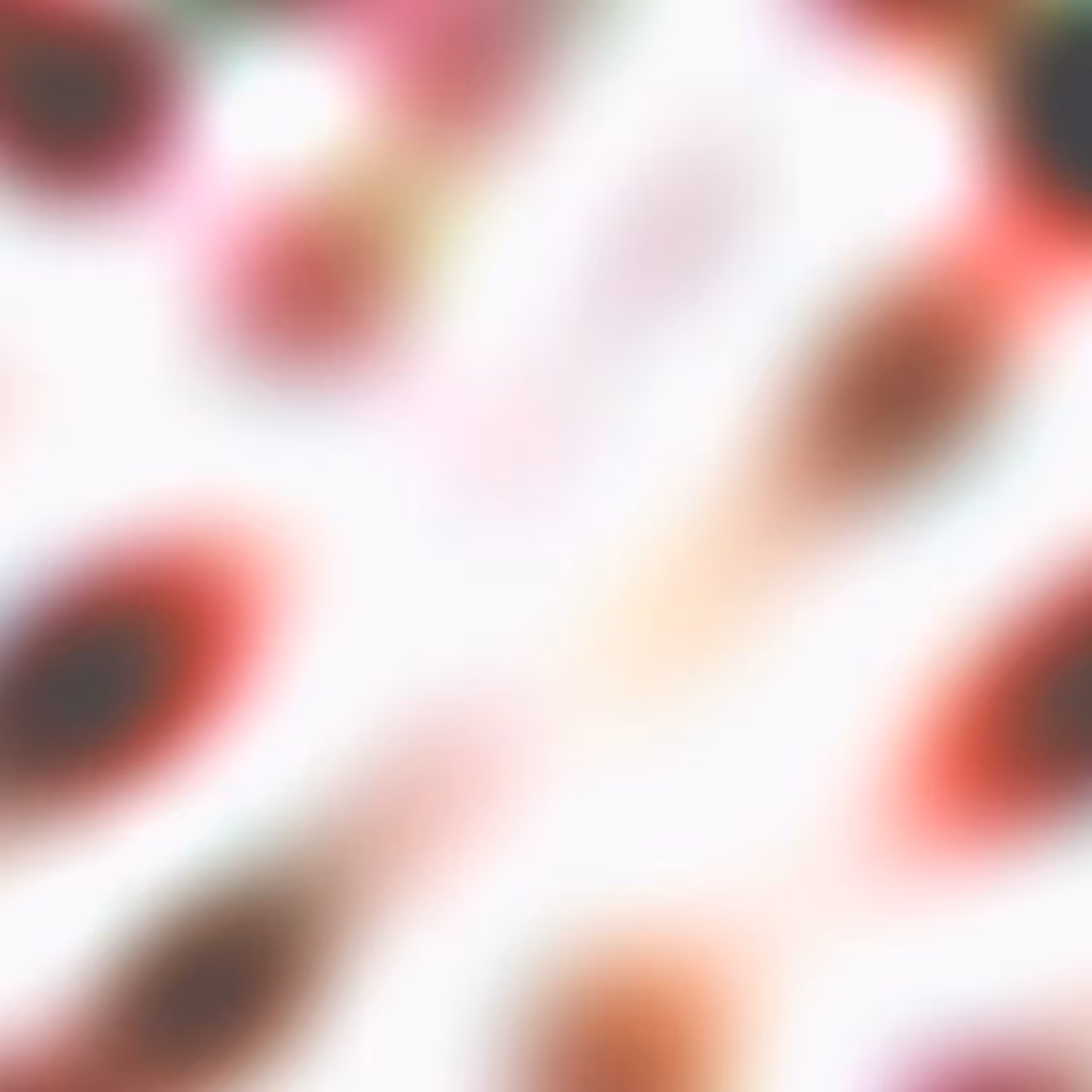 IFICE 8 - 278