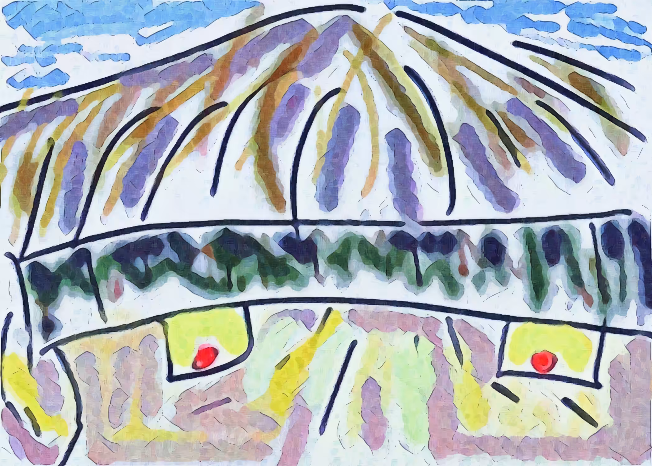 Mountain Top or Sad Look