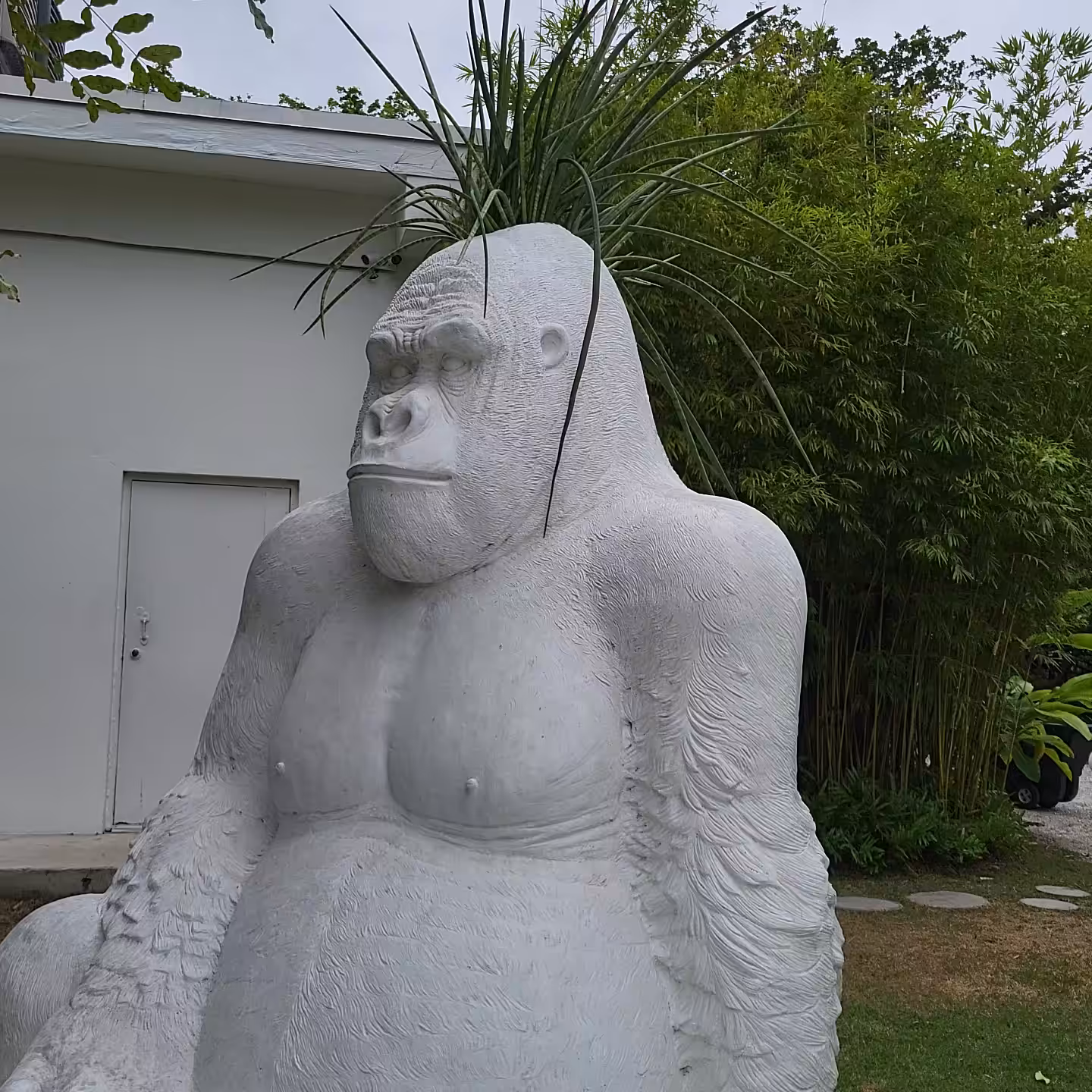 ryangtanaka's #Tezpole 2023 Adventures | 36 - Bonus Guest Appearance: Harambe