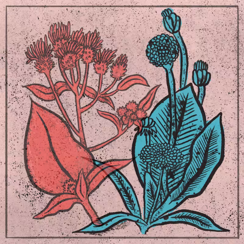Bouquet #36