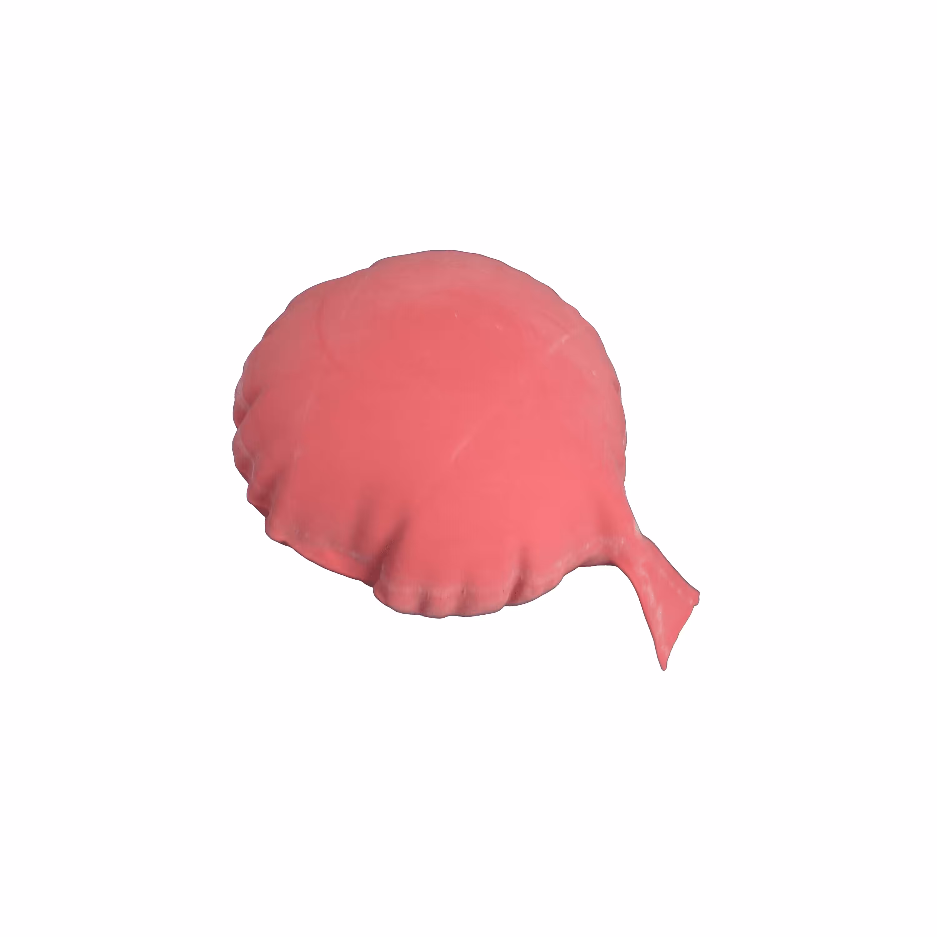 Whoopee Cusion