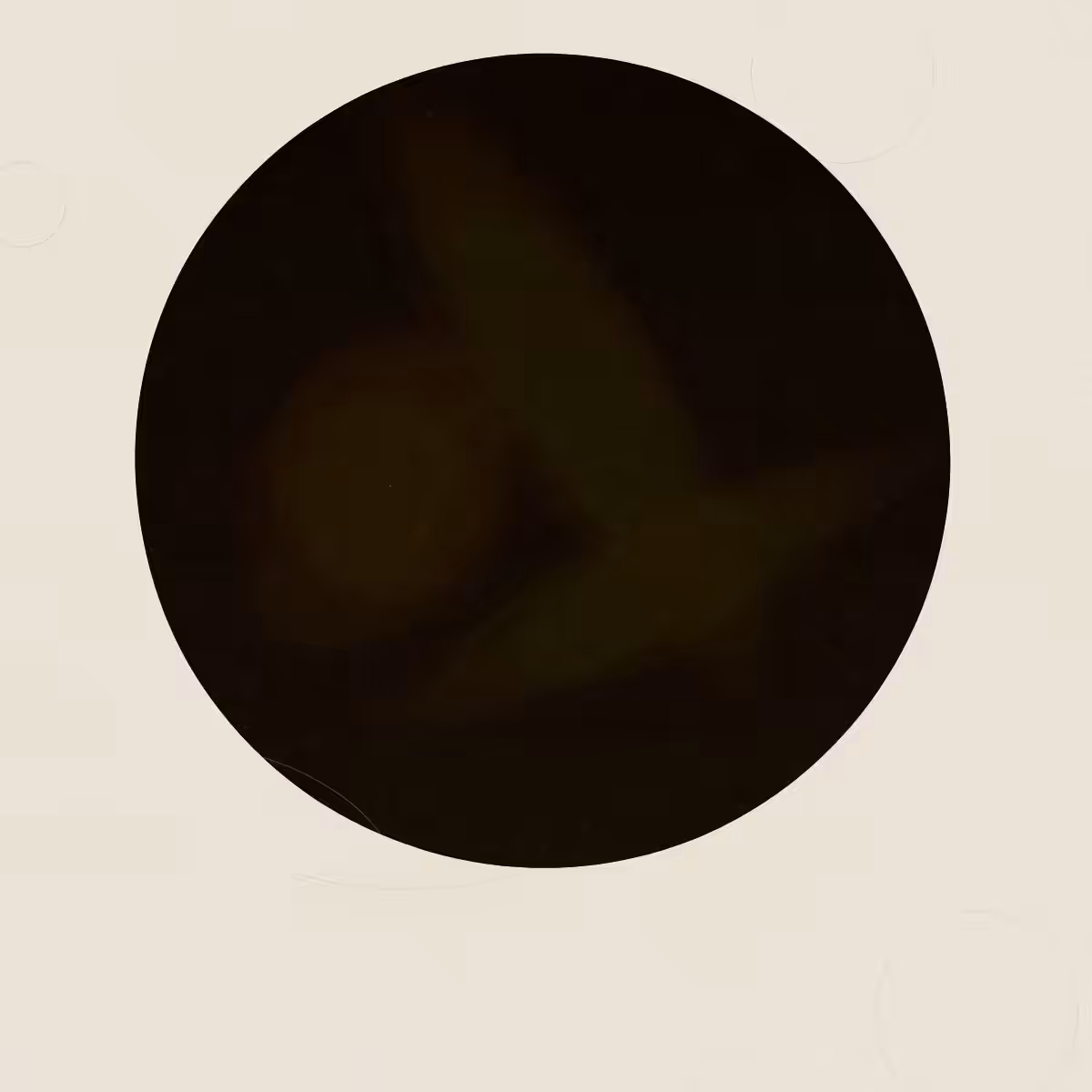 SYSTEMS #14