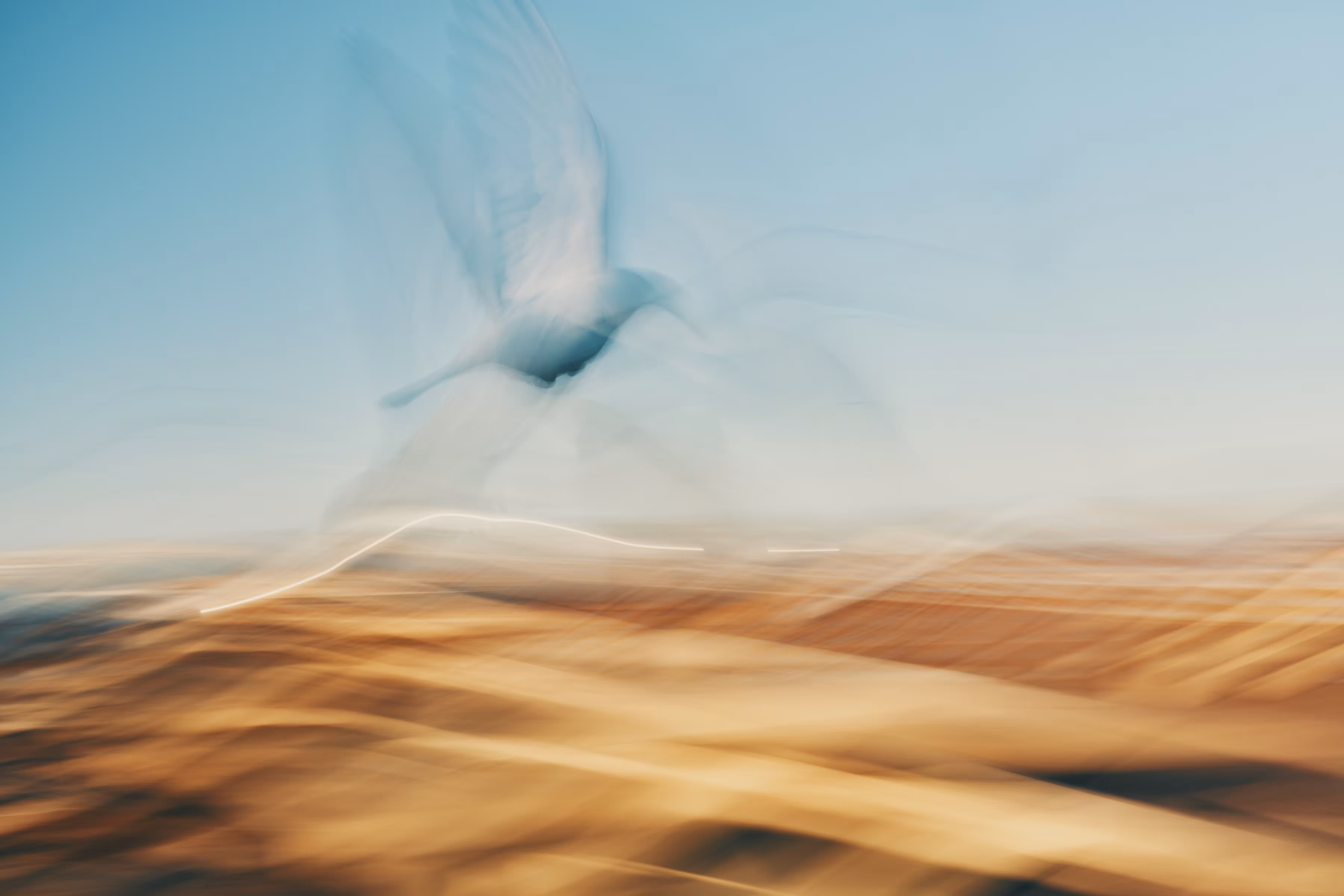Painting With Flight