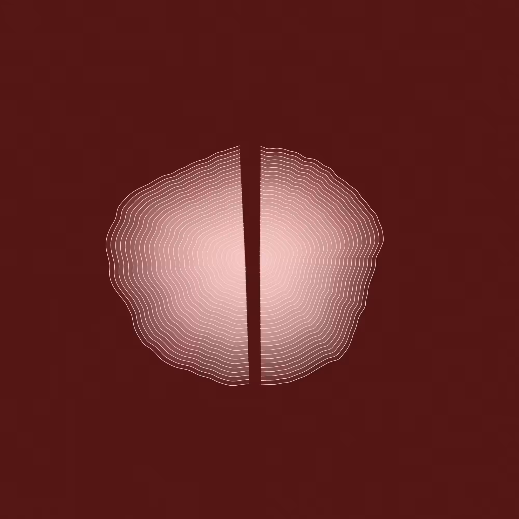 Hashed Onions #23