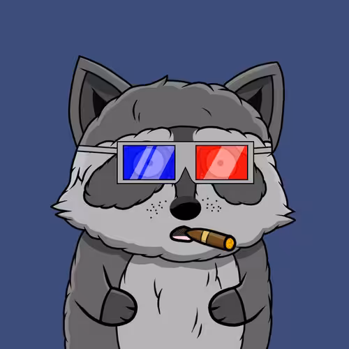 Raccoon #46