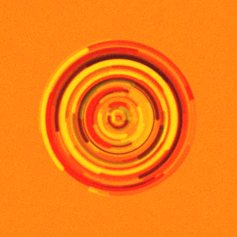 Wisp #242