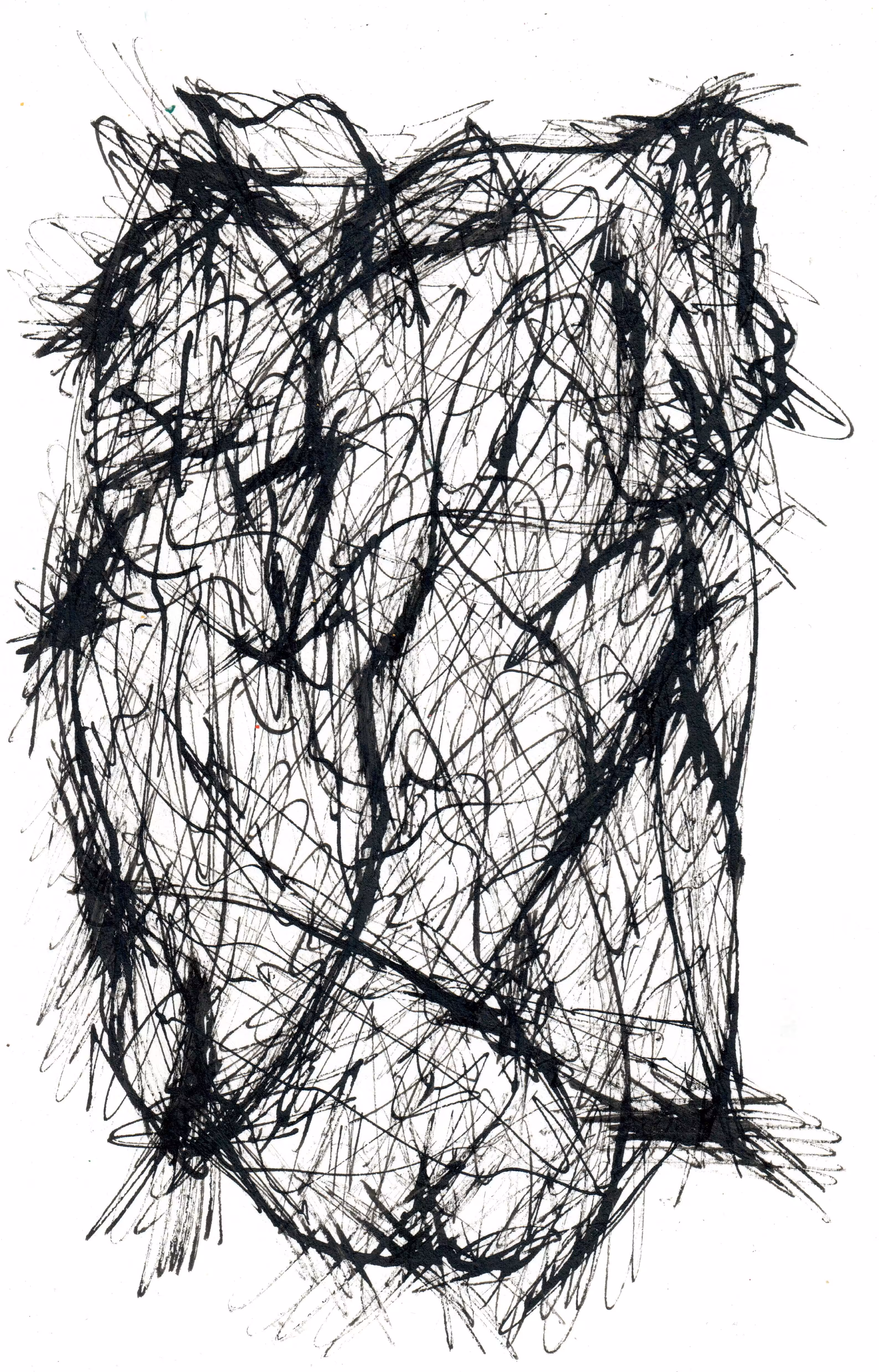 a drawring