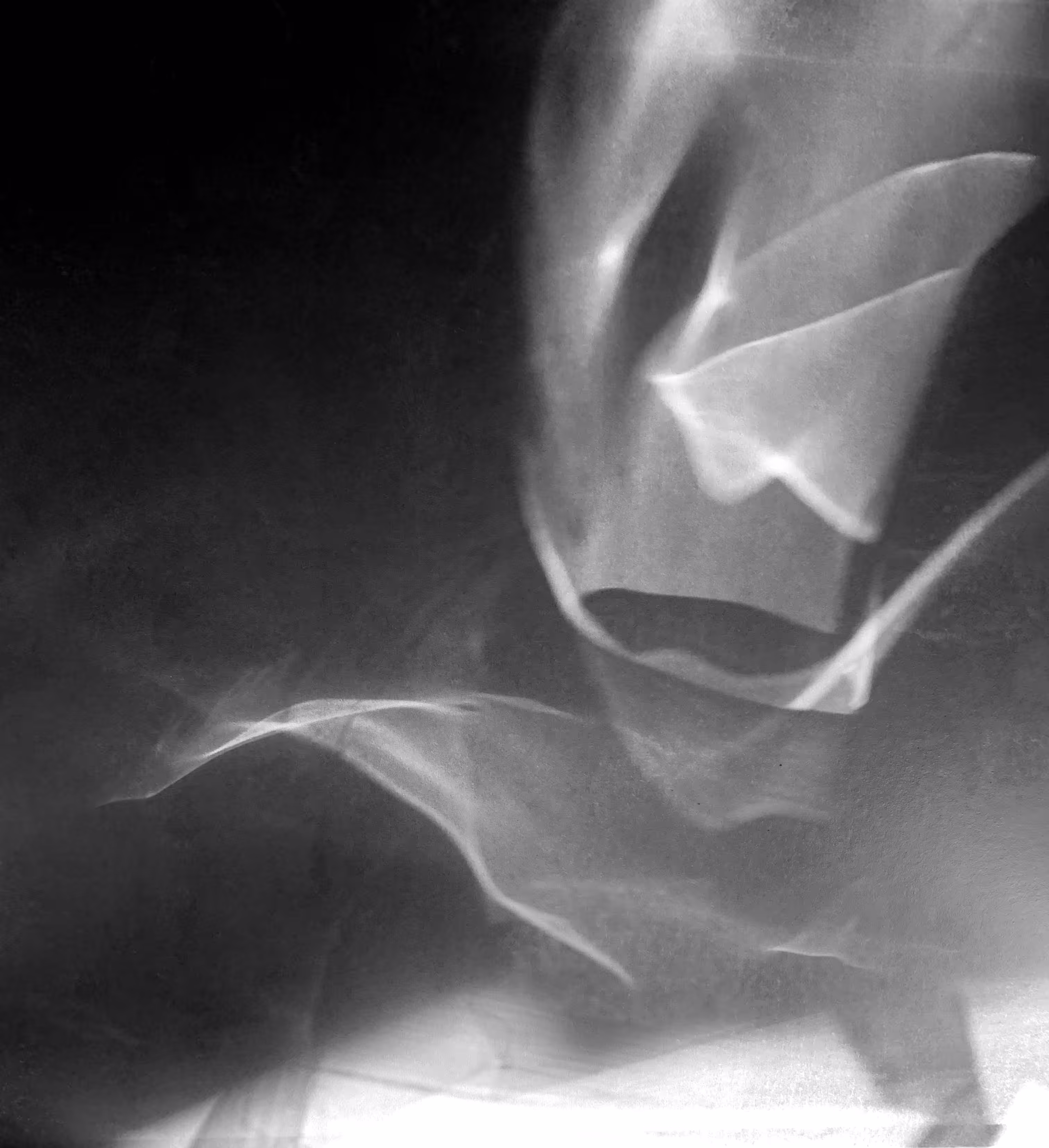 Generative daylight  #8