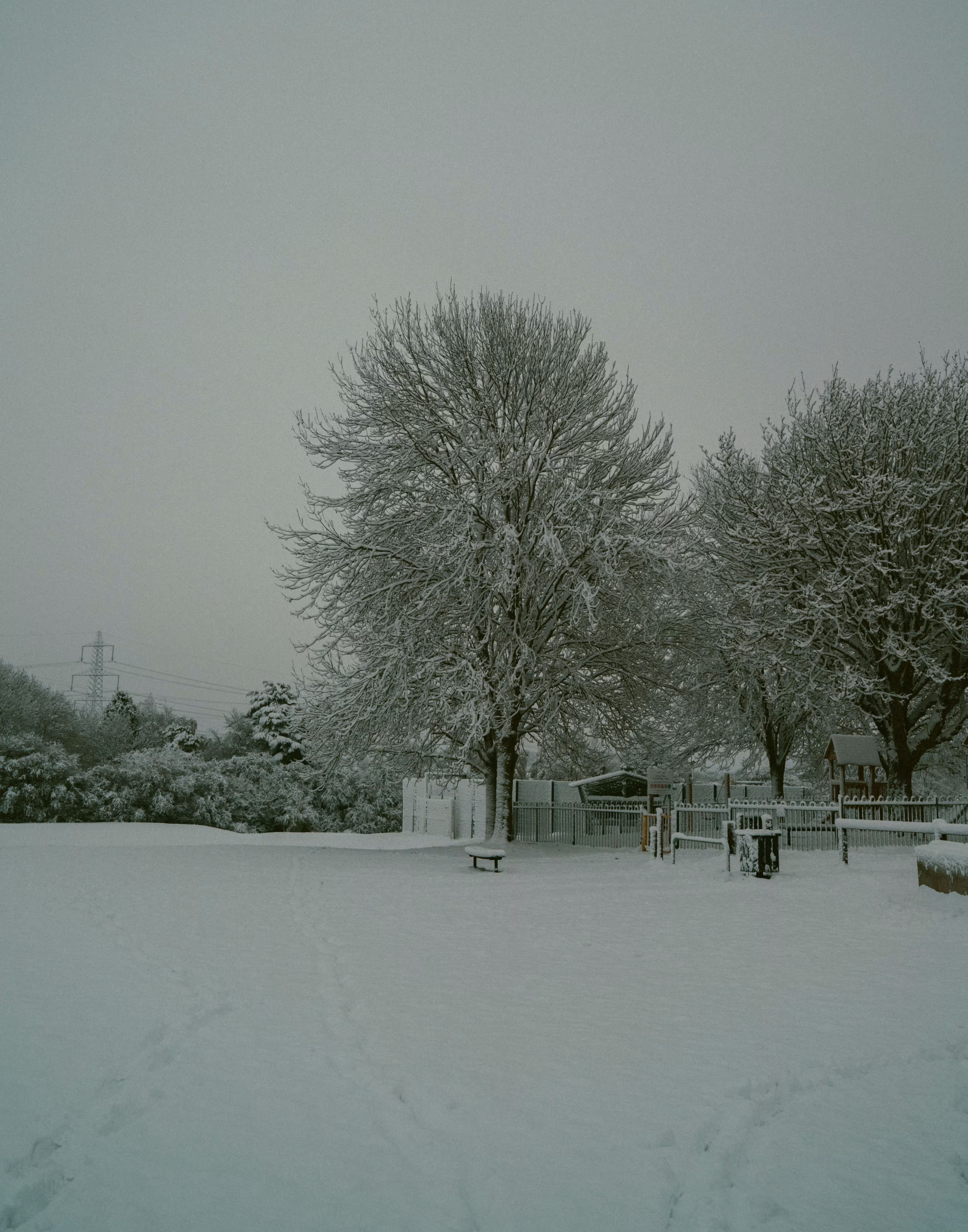 Snowy Christmas 